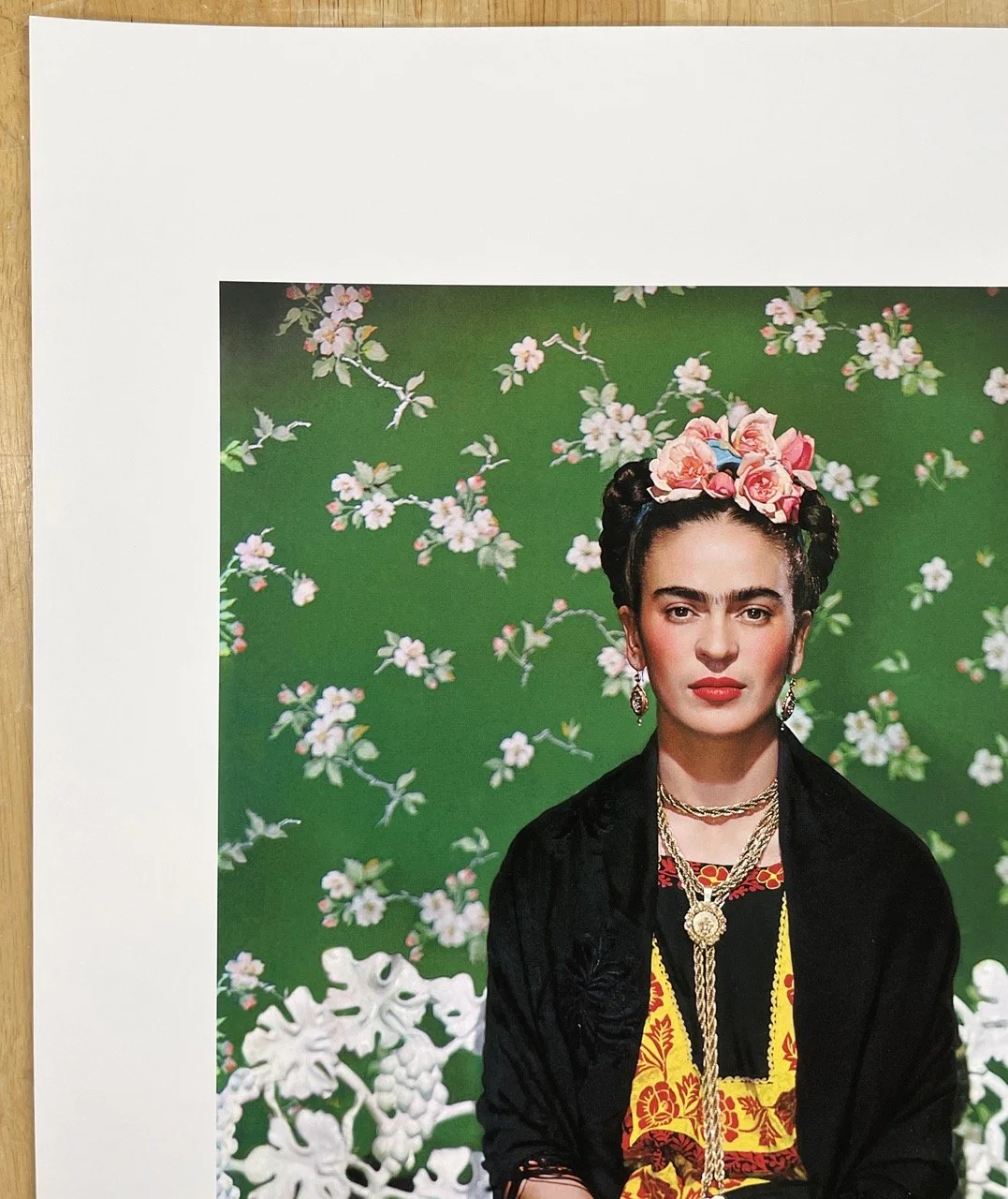 4_14170_Frida on White Bench.jpeg