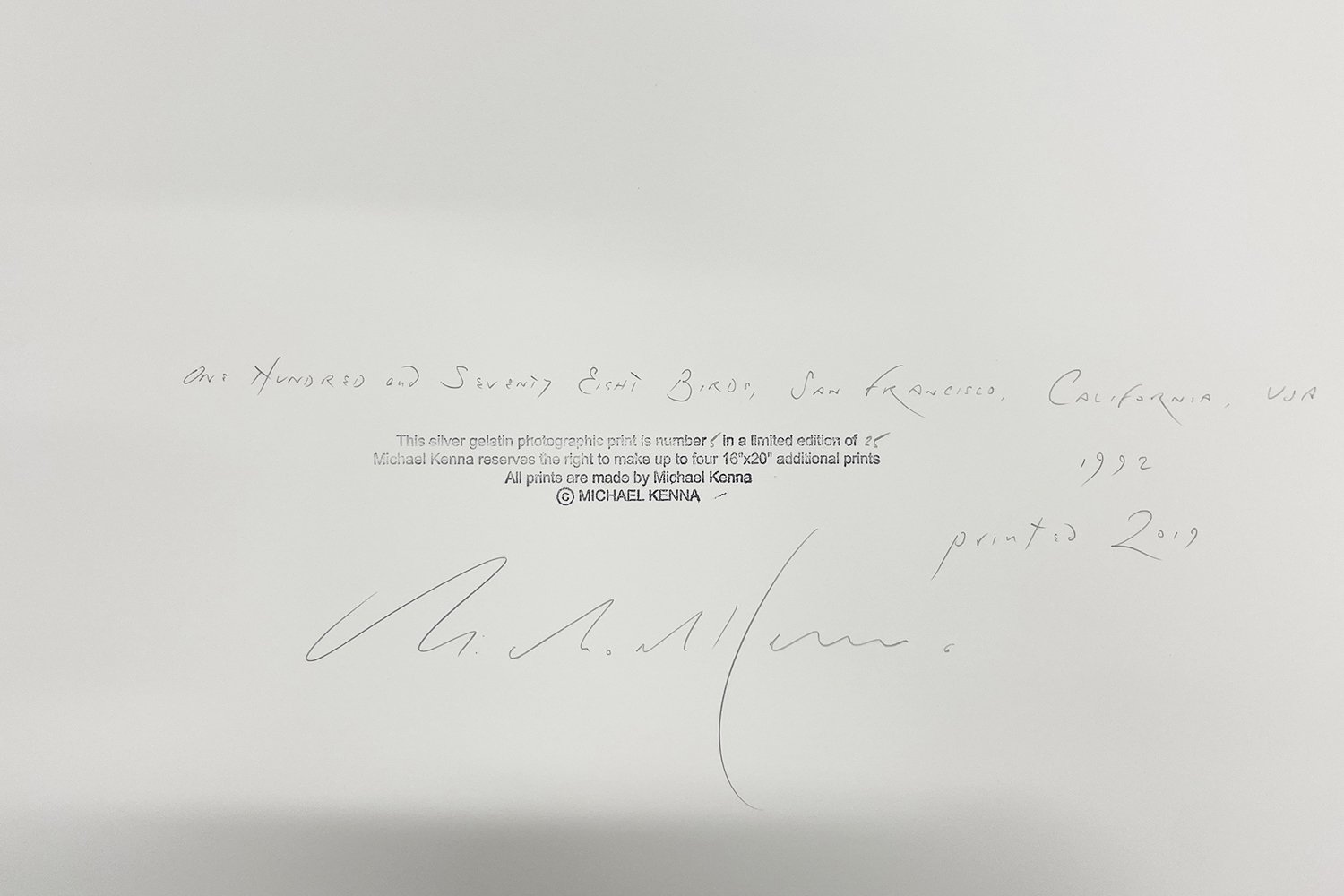 3_13422_Kenna_One Hundred and Seventy Eight Birds.jpg