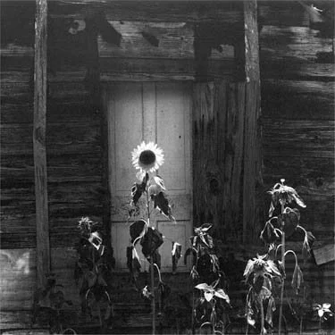 Keith Carter: Nat, TX, 1985