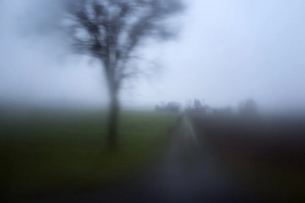 Loli Kantor: Misty Road, Poland, 2017