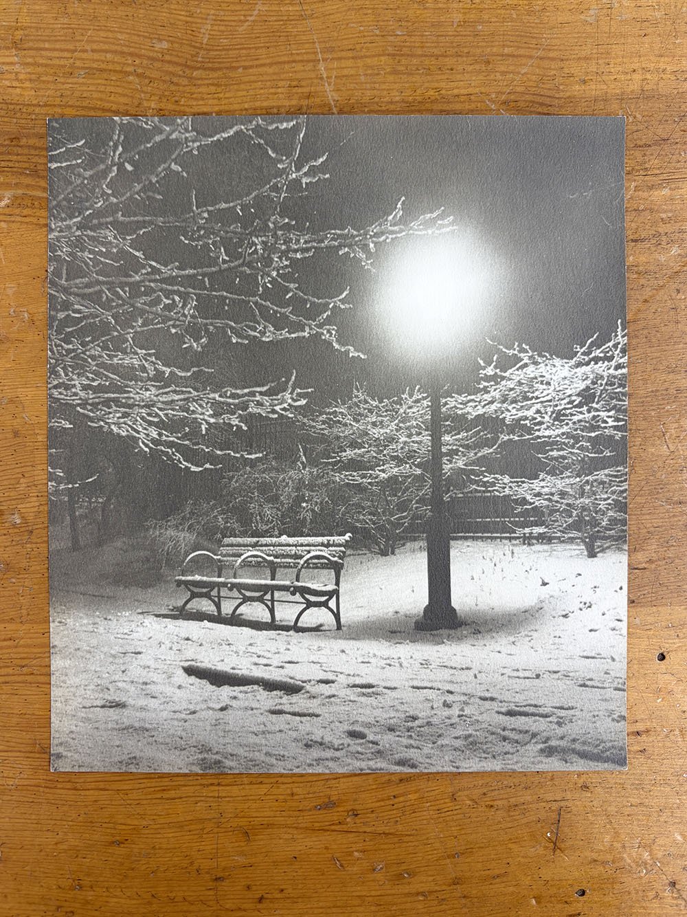 2_John_Albok_8046_Central Park (Bench in Snow).jpg