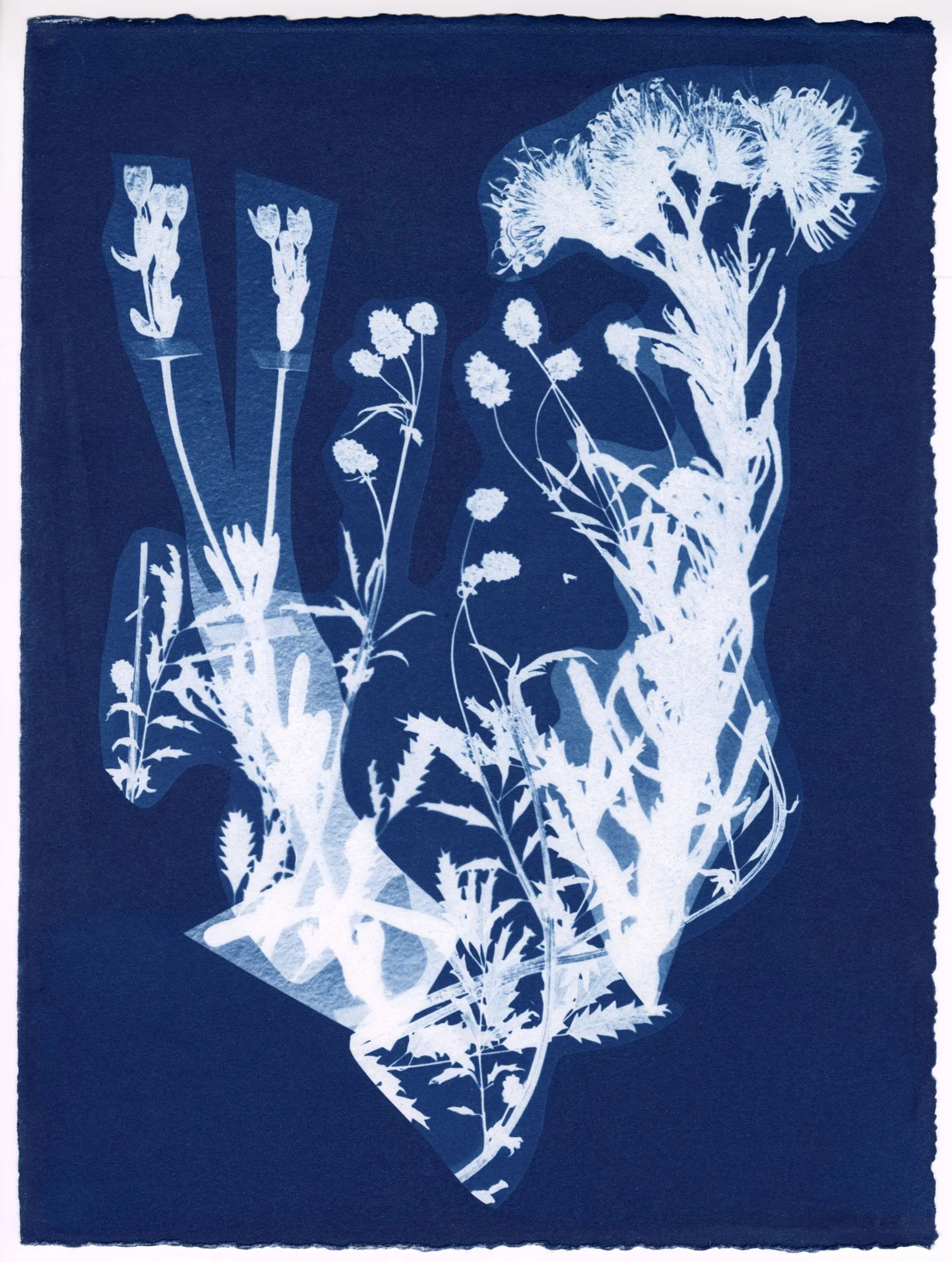 Meg Griffiths: Bouquet #4, 2025