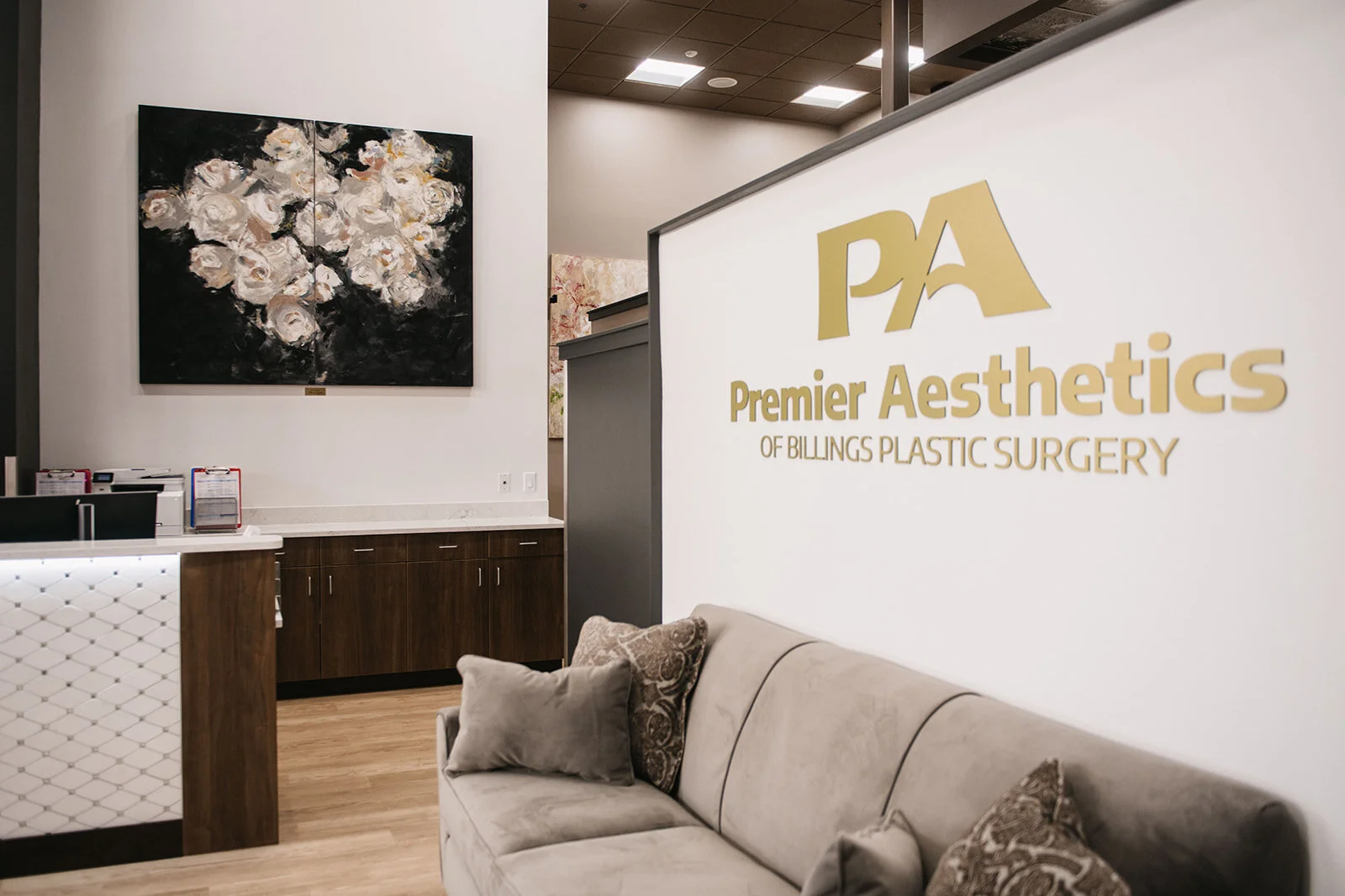 Premier Aesthetics Installation