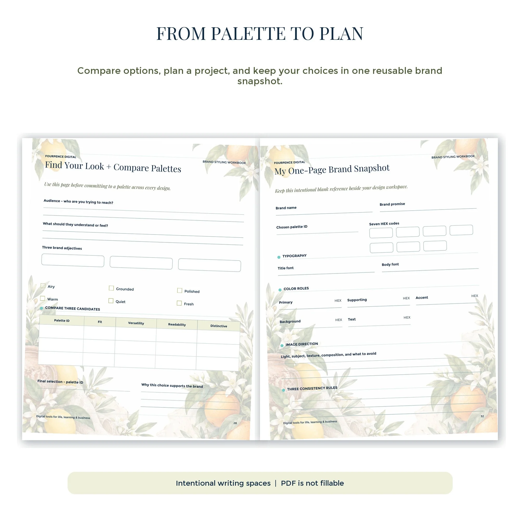 Citrus Grove workbook planning tools for comparing palettes and organizing brand colors.