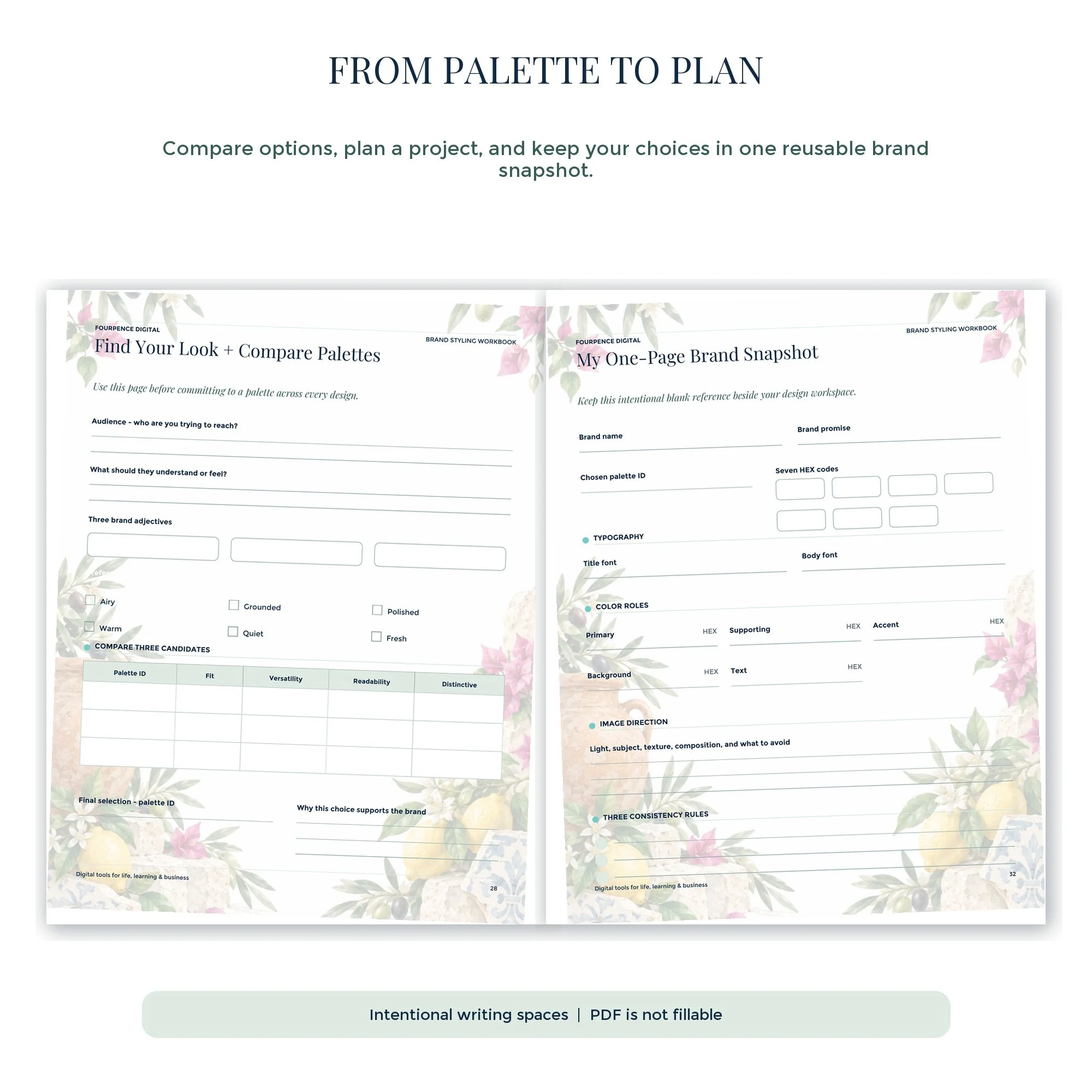 Mediterranean workbook planning tools for comparing palettes and organizing brand colors.