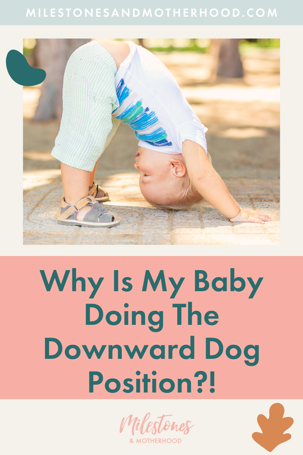 Why Is My Baby Doing The Downward Dog Position?! — Milestones & Motherhood