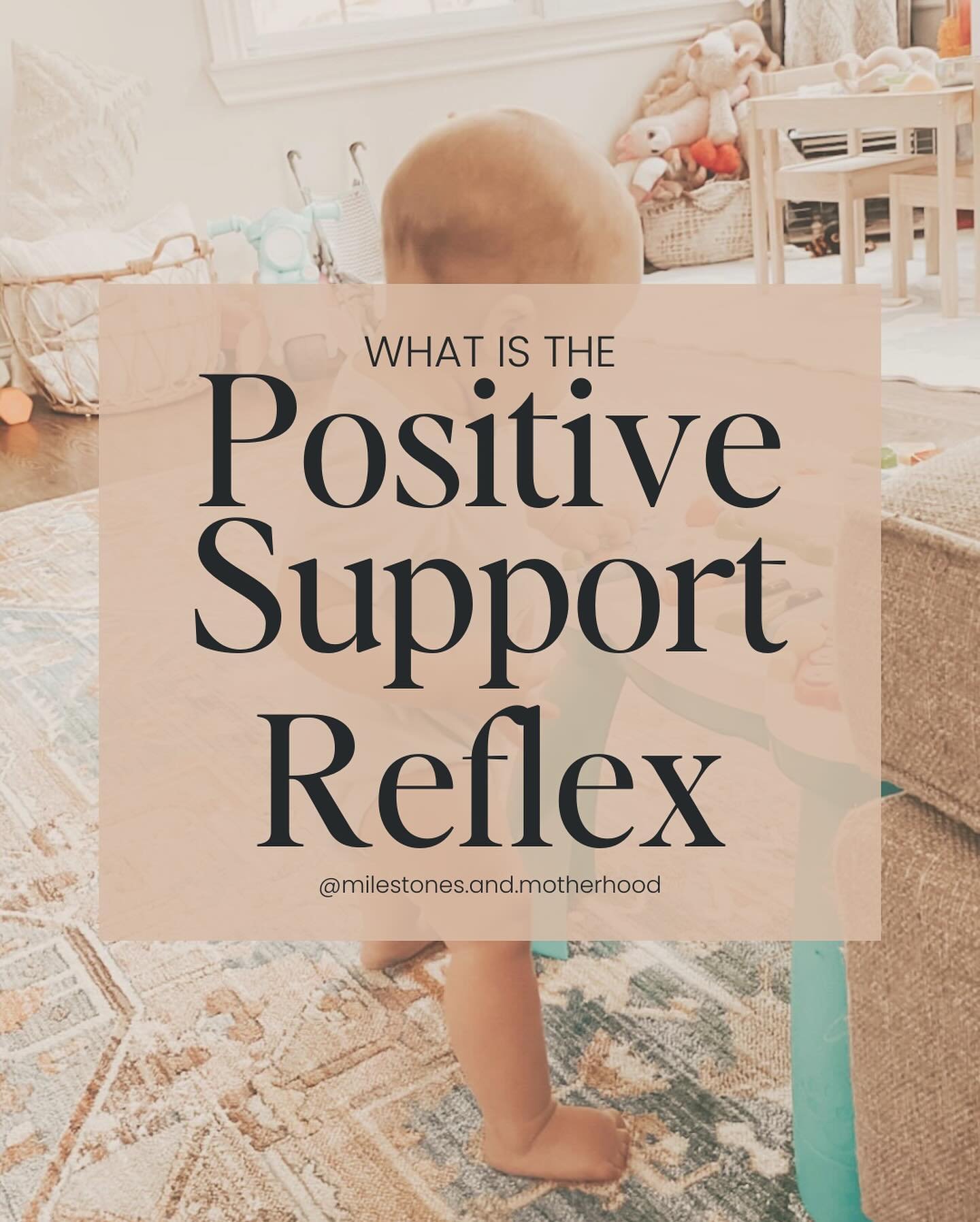 Answering a FAQ about babies seeming to want to stand ALL THE TIME before they can actually do it on their own developmentally

So is that okay?! What can you do instead?!

Swipe through the post to read all about it, drop any questions below &amp; t