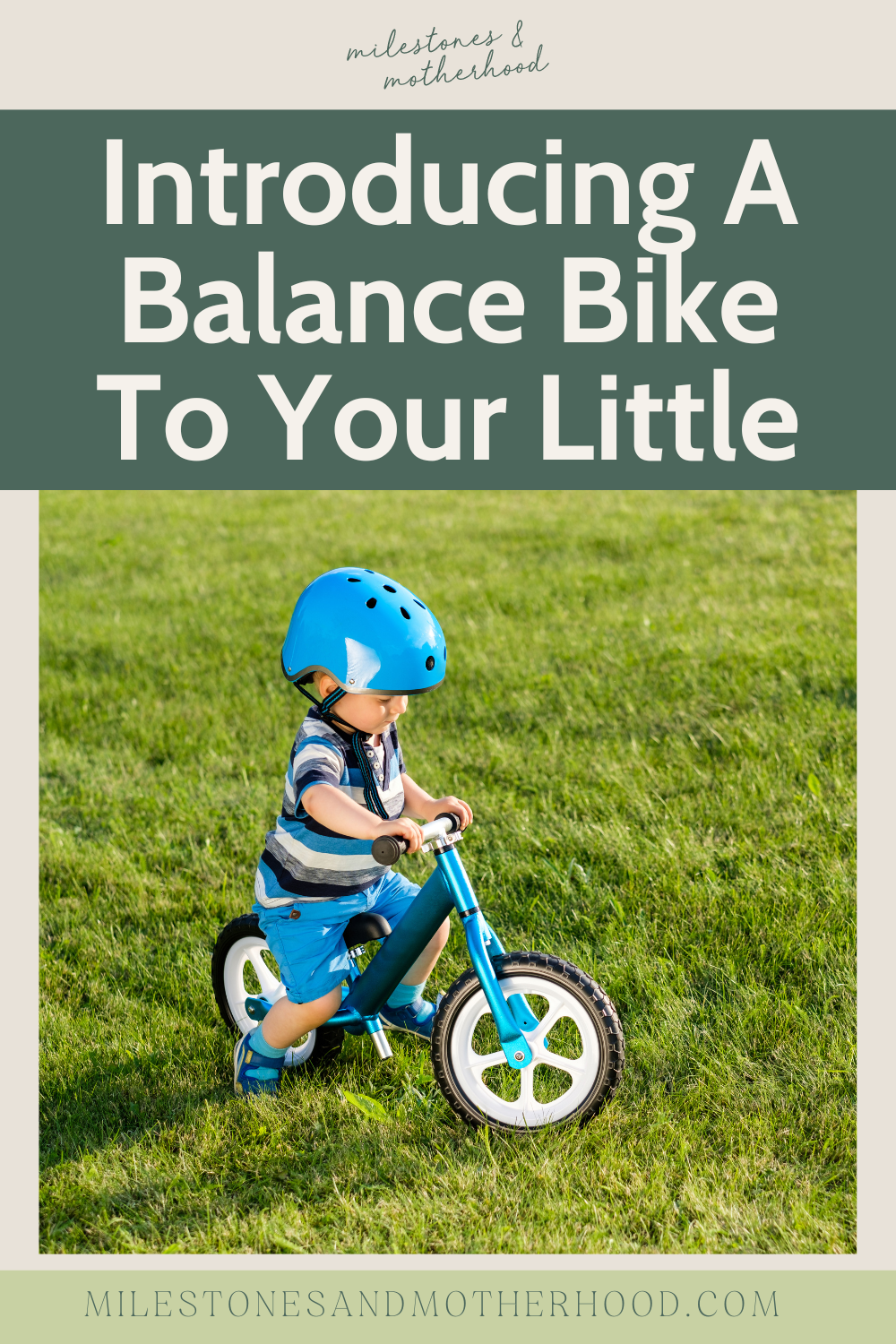 special needs balance bike