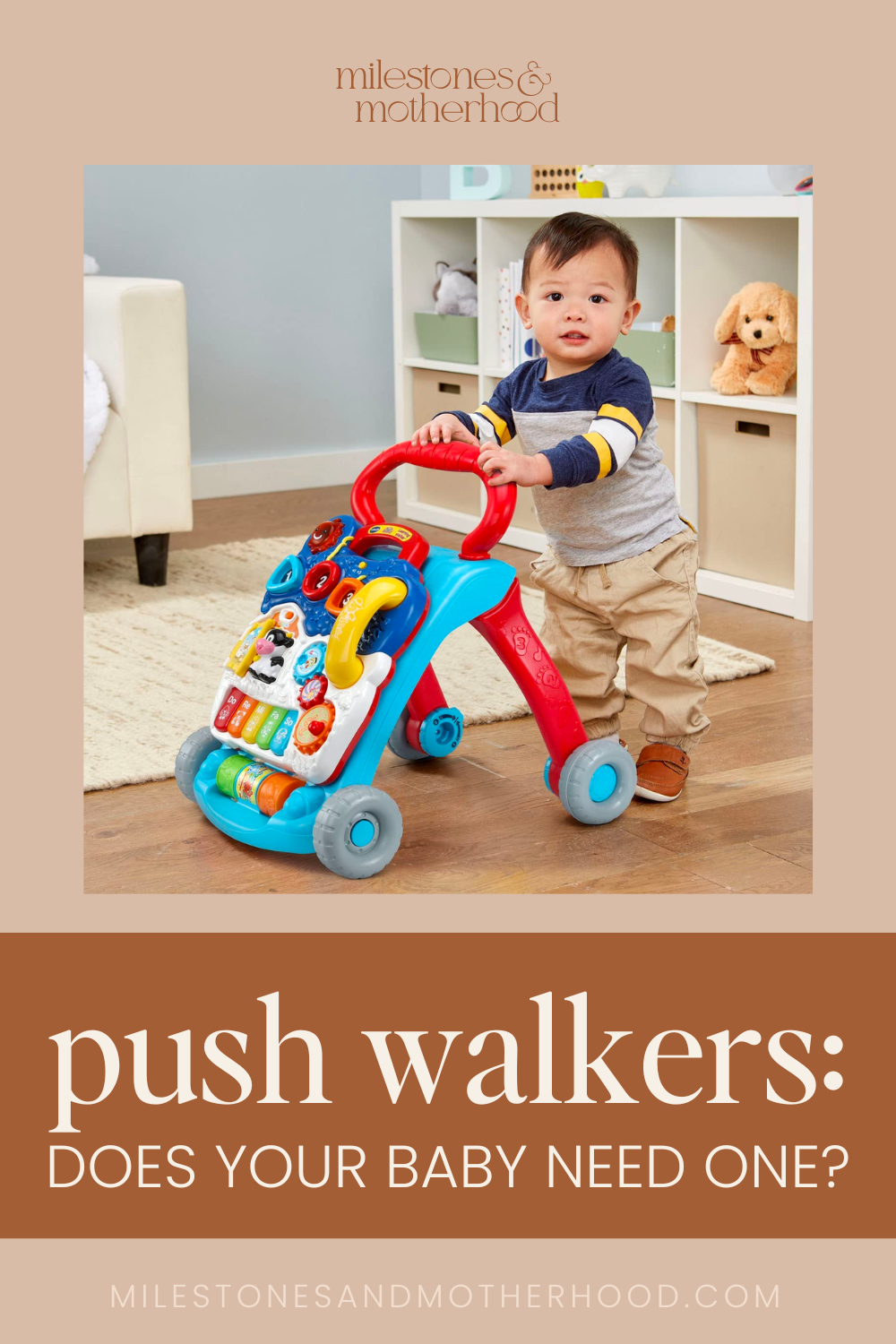 Disha From Which Month Baby Can Use Walker Disha When Can I Use A