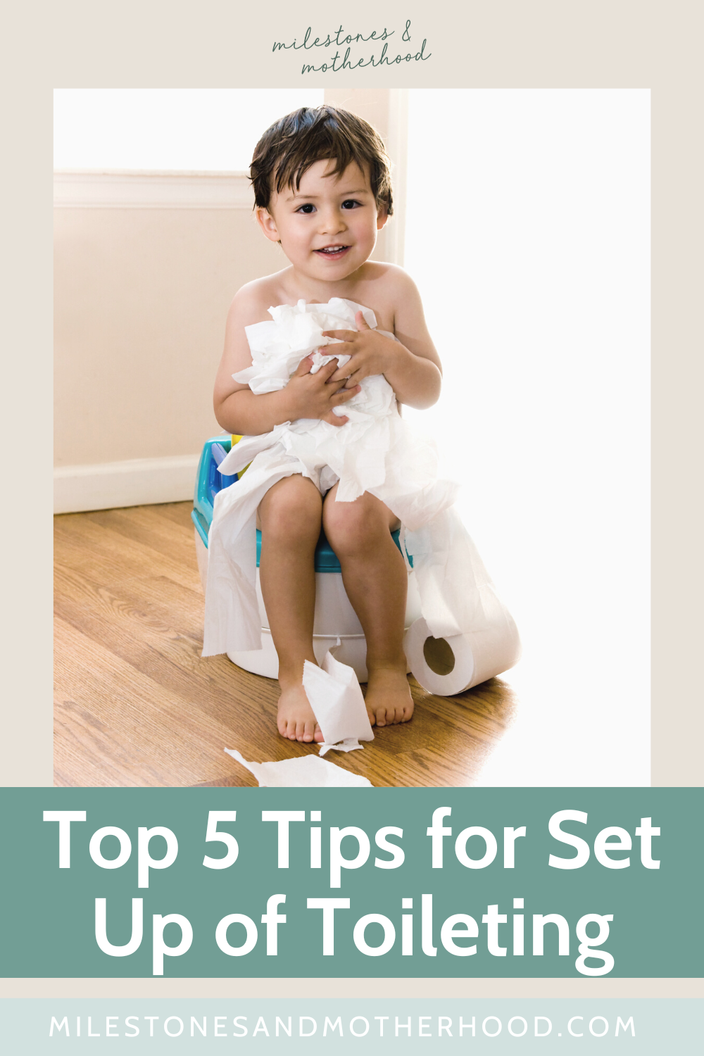 Top 5 Tips for Set Up of Toileting — Milestones & Motherhood