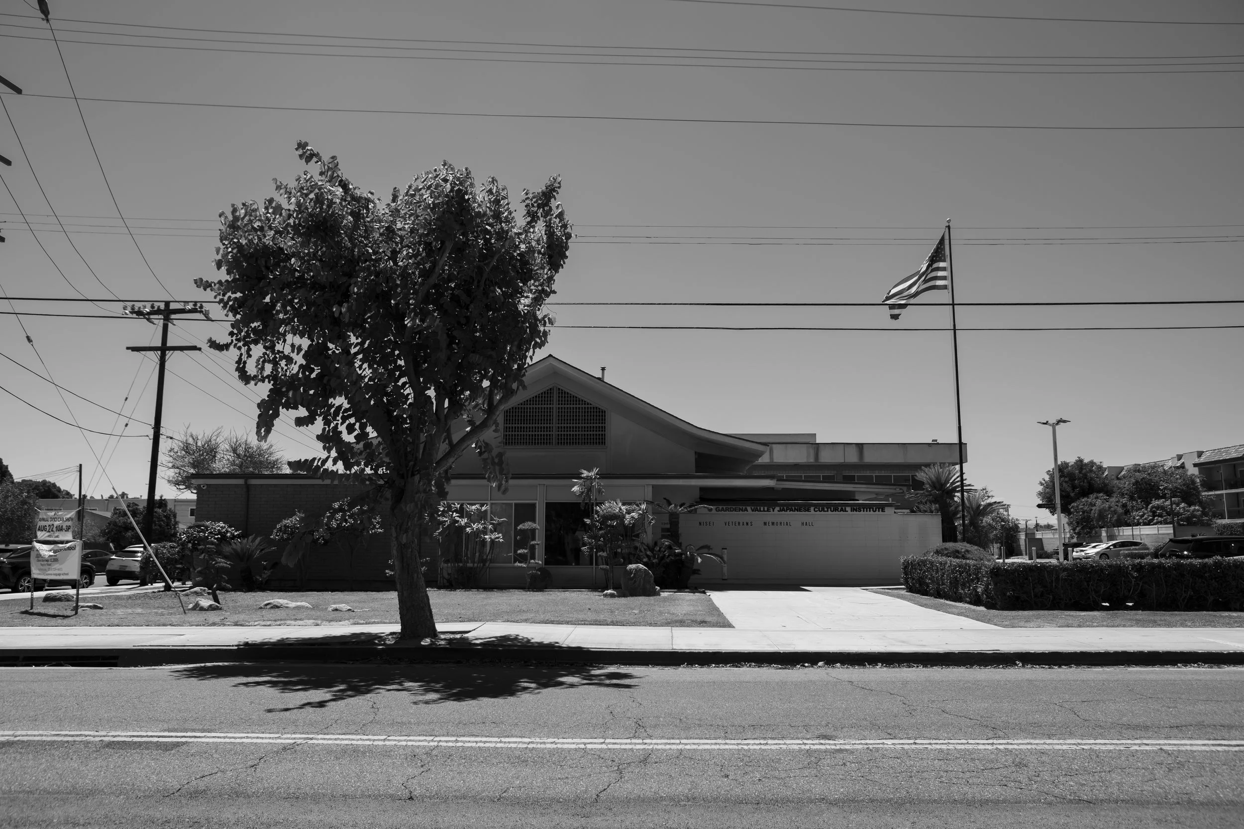 D82A1163.jpg