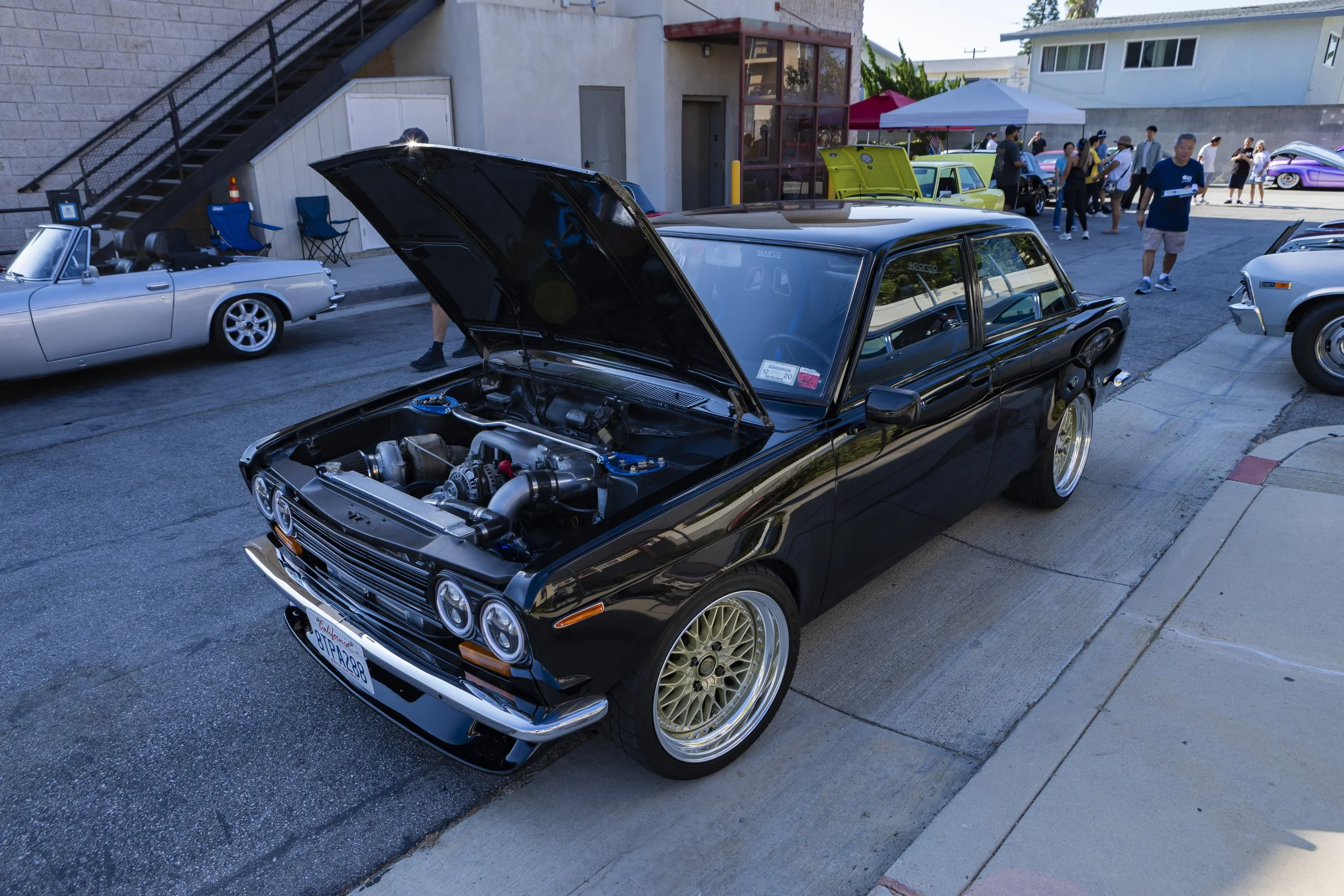 D82A1232.jpg