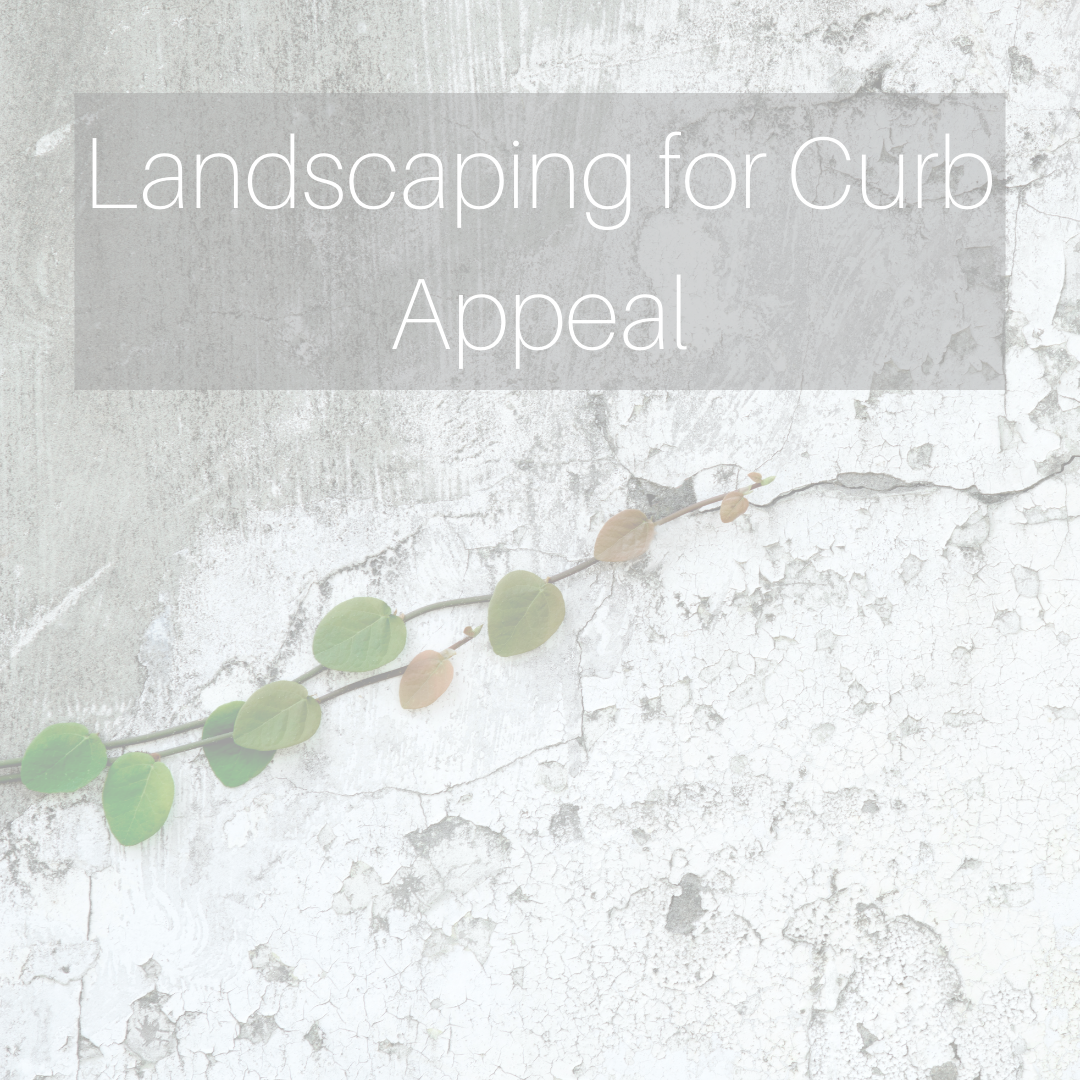 Landscaping for Curb Appeal