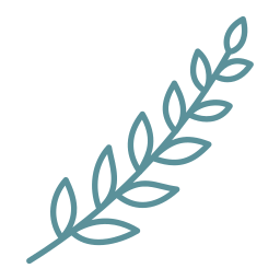 Simple line drawing of a branch with multiple leaves.