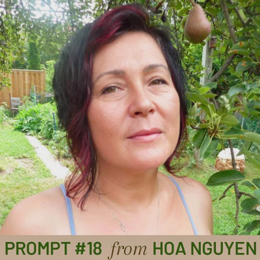 Prompts Against Anxiety #18—from Hoa Nguyen
