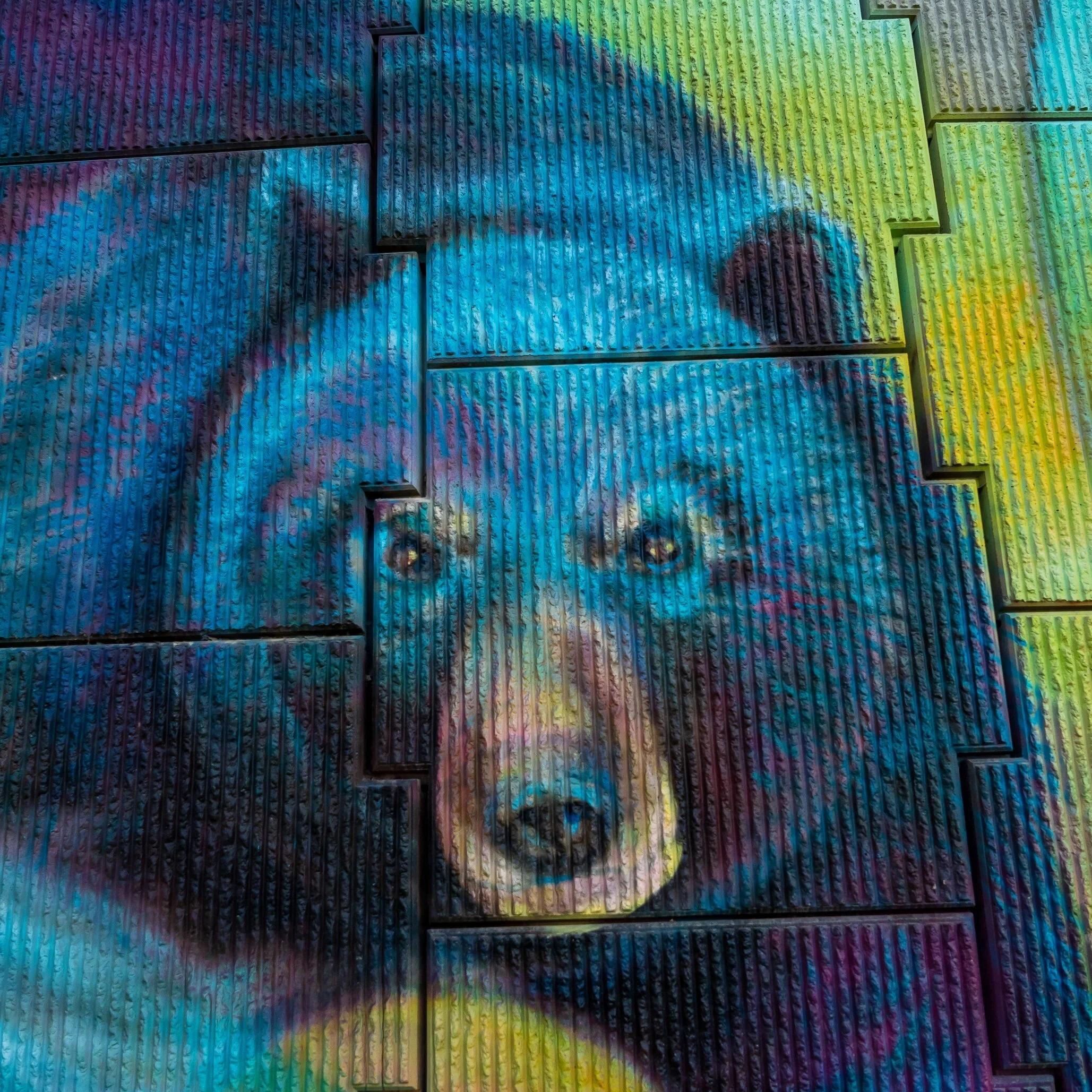 ISO 200 | 1/200 | f/3.2