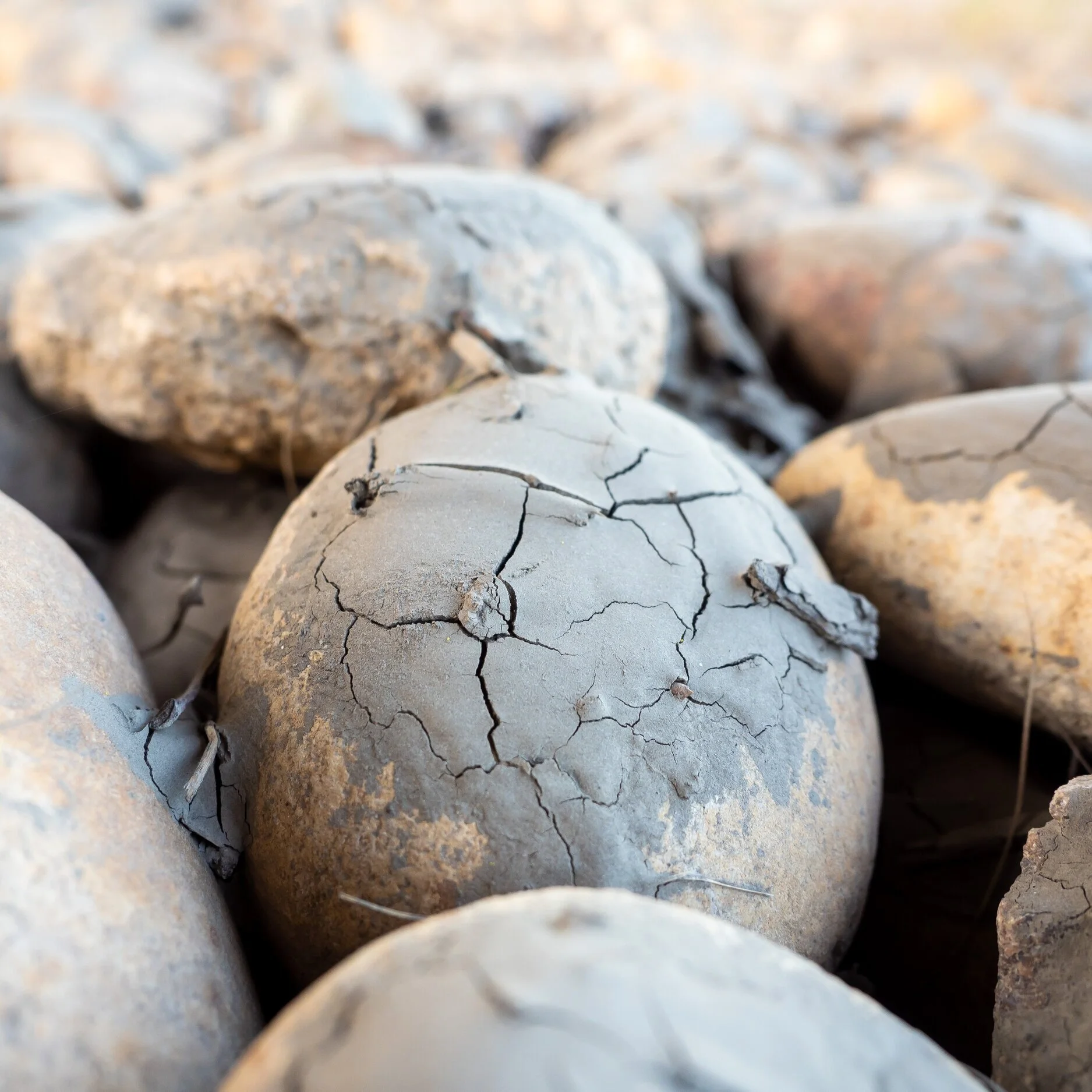 ISO 250 | 1/60 | f/2.8