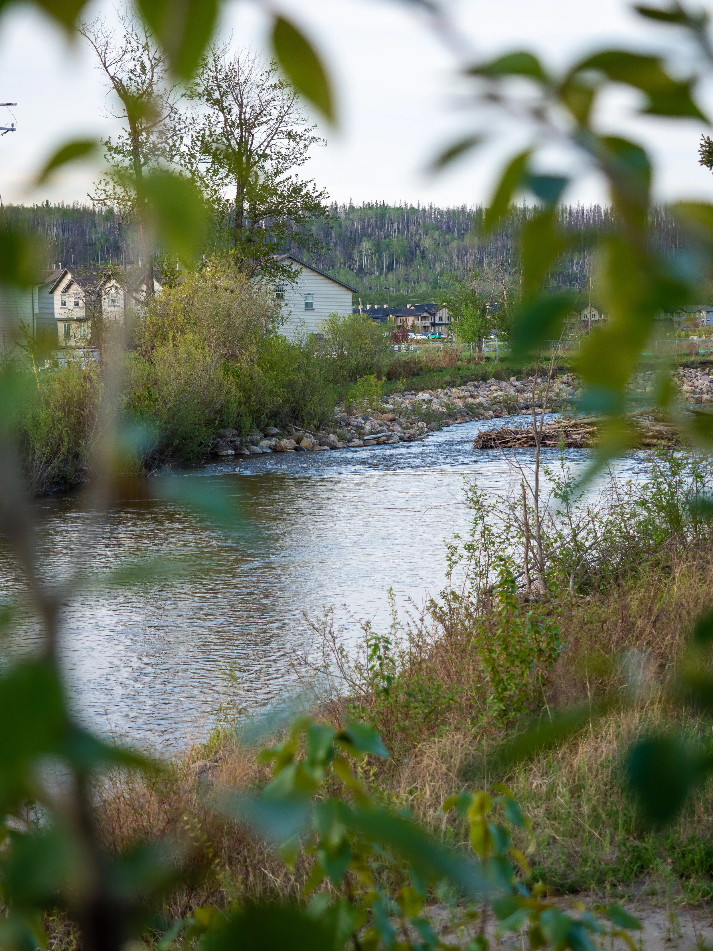 ISO 250 | 1/250 | f/2.8