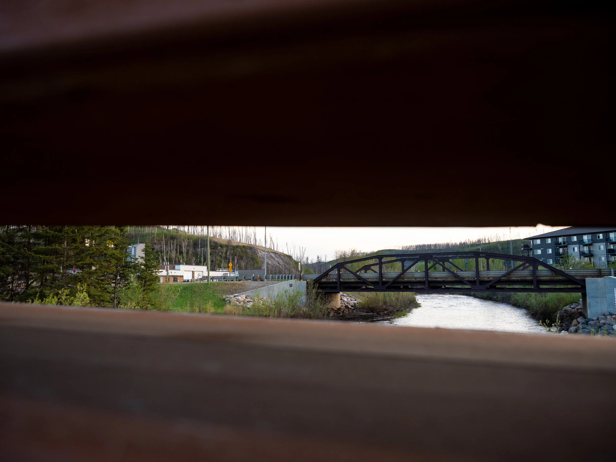 ISO 250 | 1/250 | f/2.8