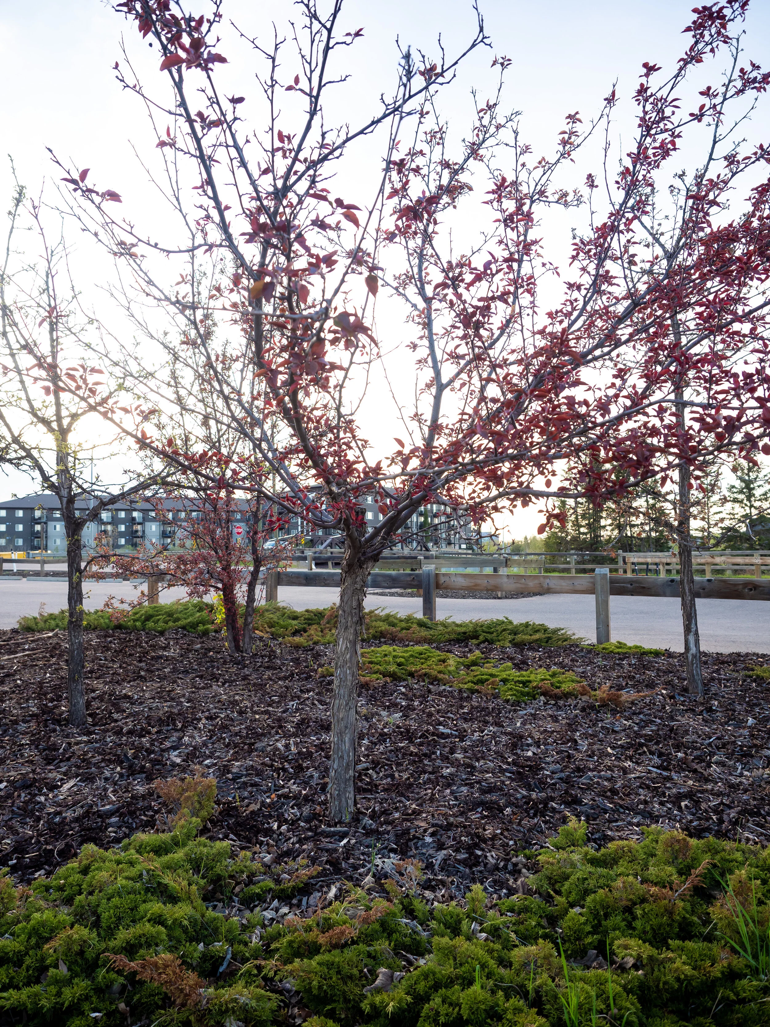 ISO 250 | 1/200 | f/2.8