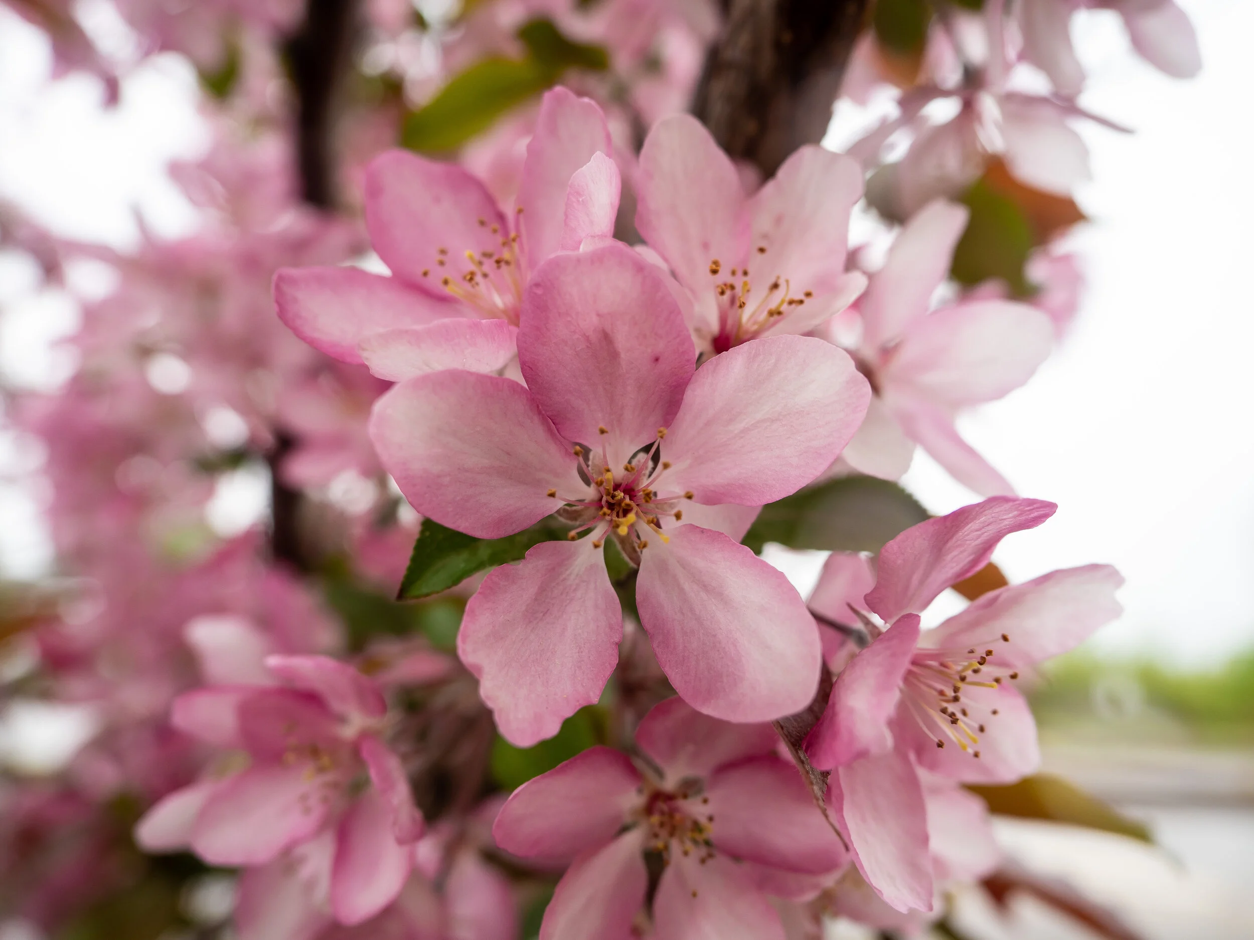 ISO 200 / 1/250 / f/2.8