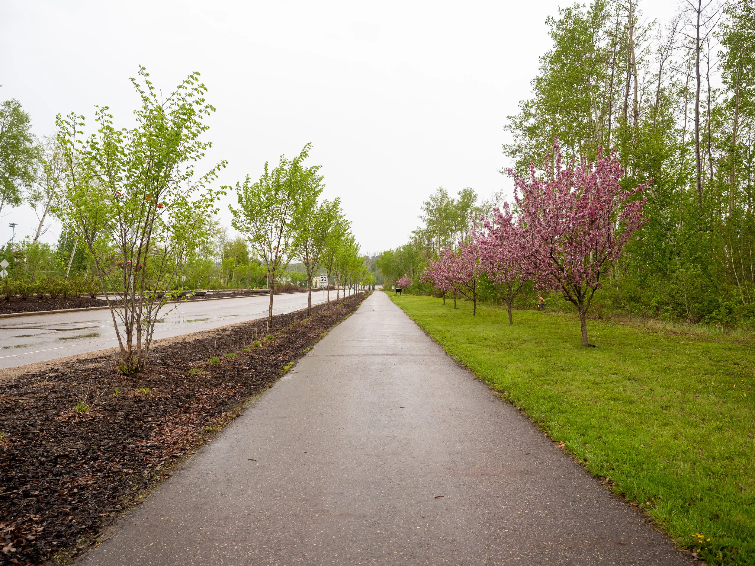 ISO 200 / 1/500 / f/2.8