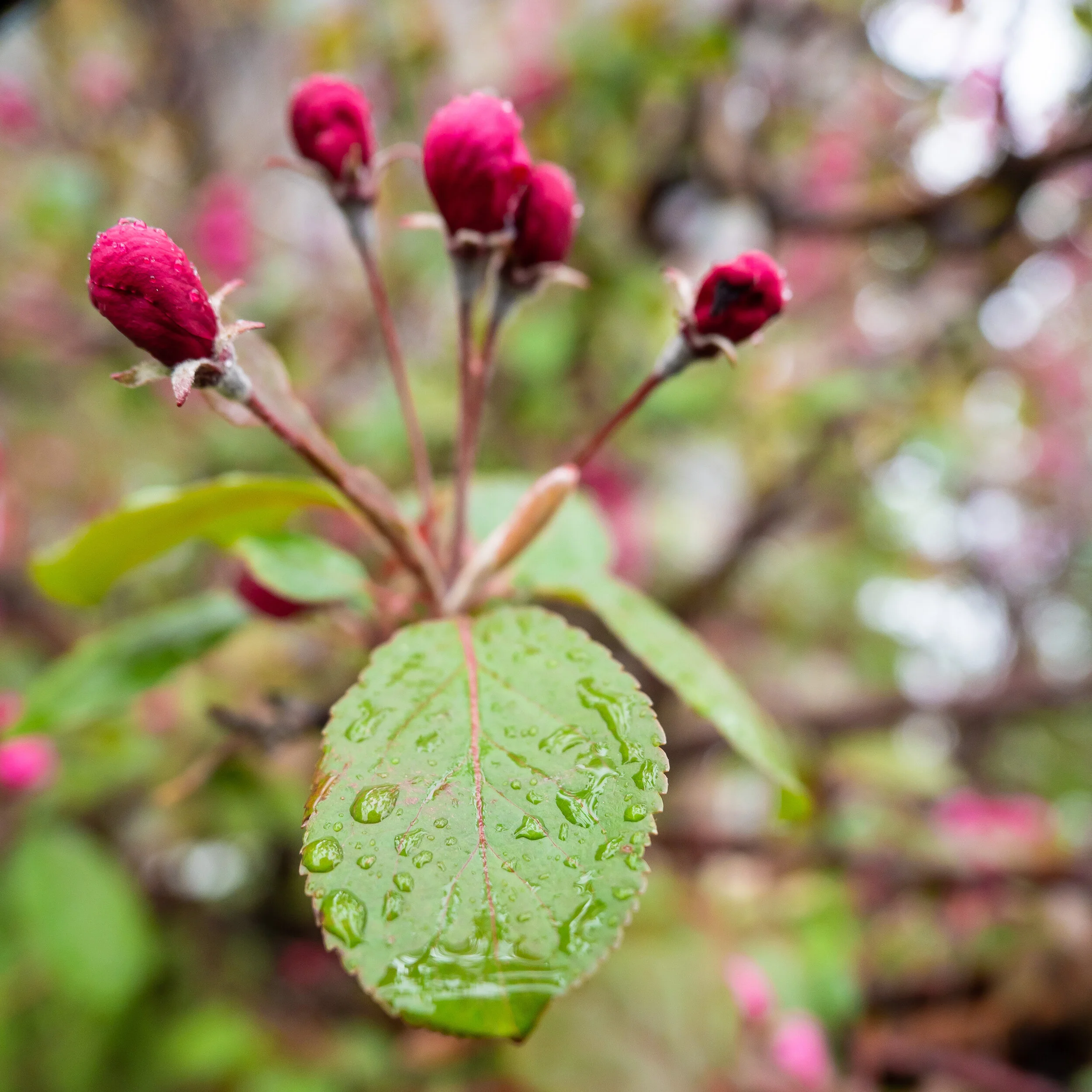 ISO 200 / 1/80 / f/2.8