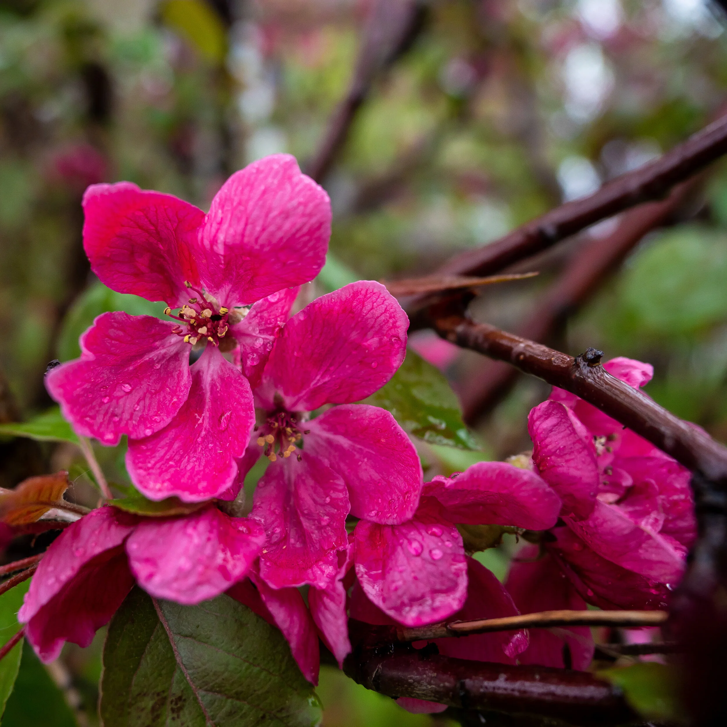 ISO 200 / 1/160 / f/2.8