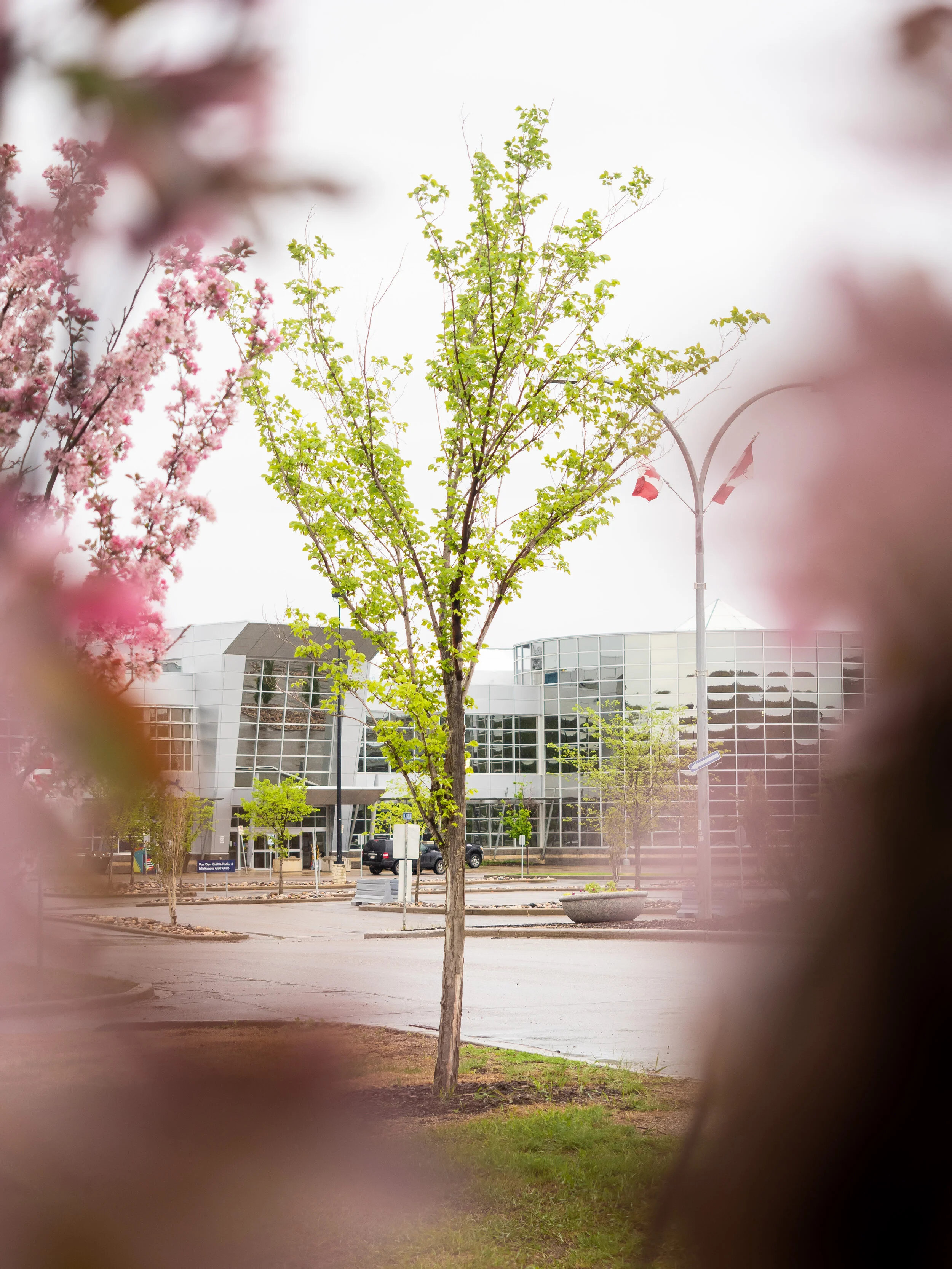 ISO 200 / 1/250 / f/2.8