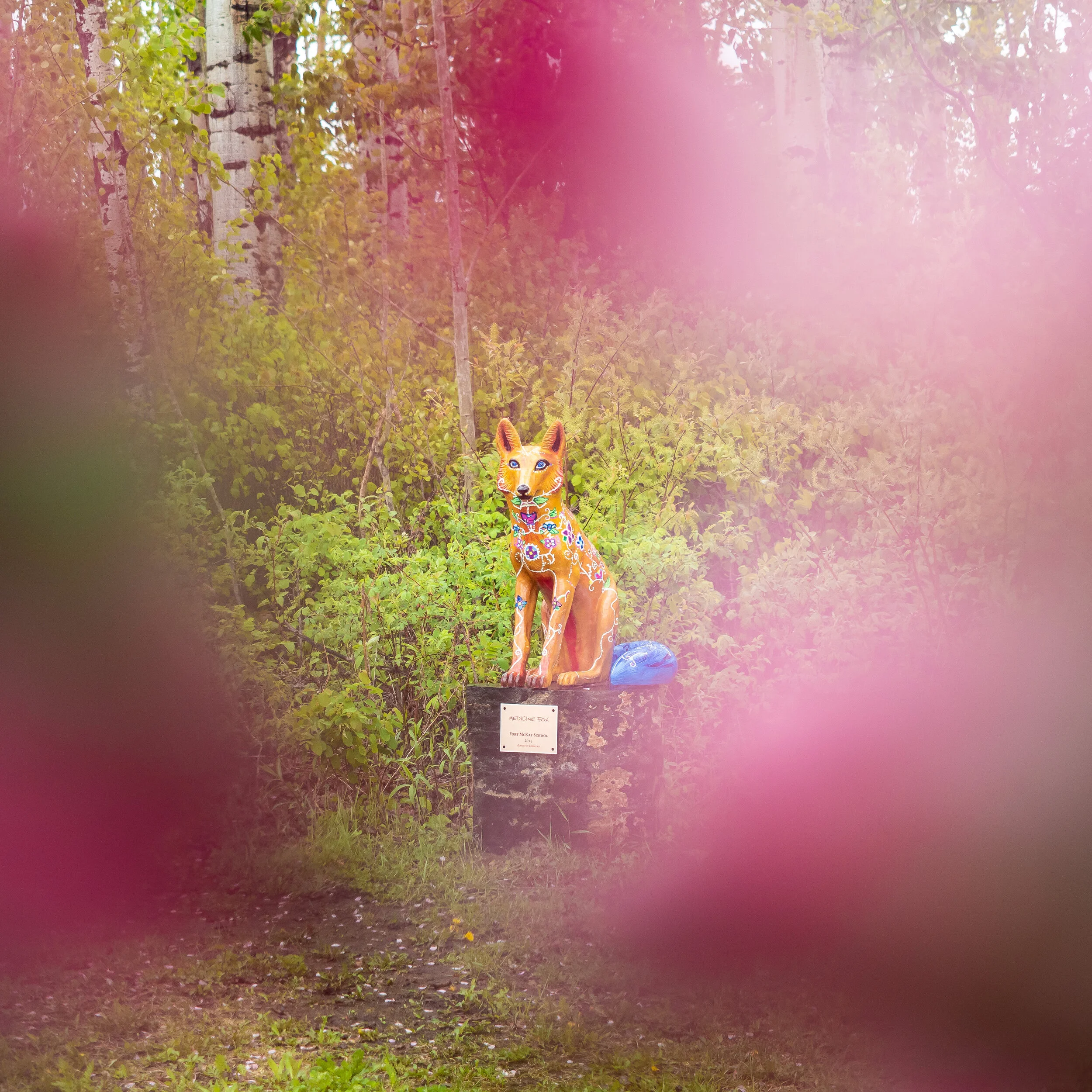 ISO 200 / 1/250 / f/2.8