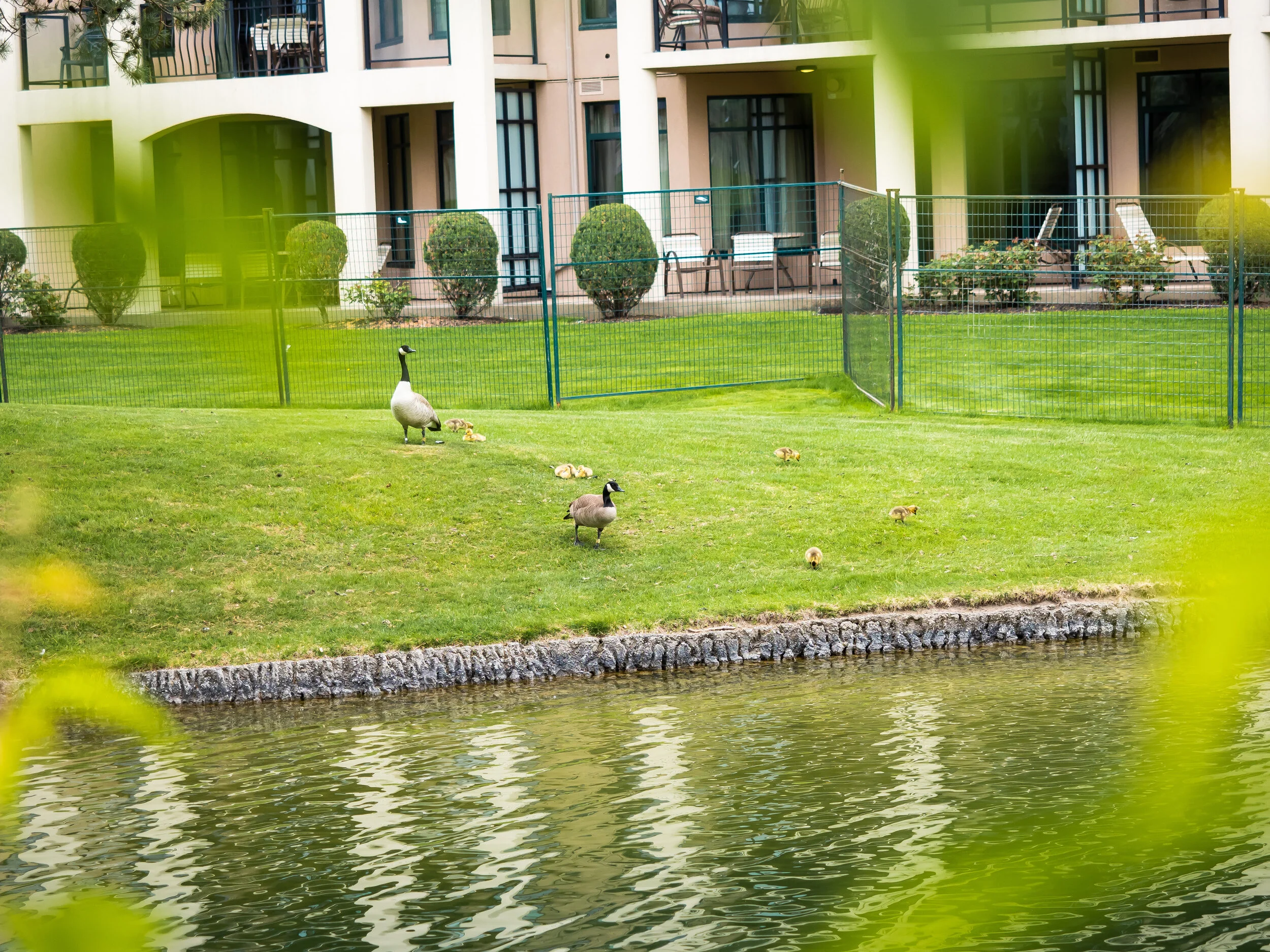 may long weekend-6.jpg