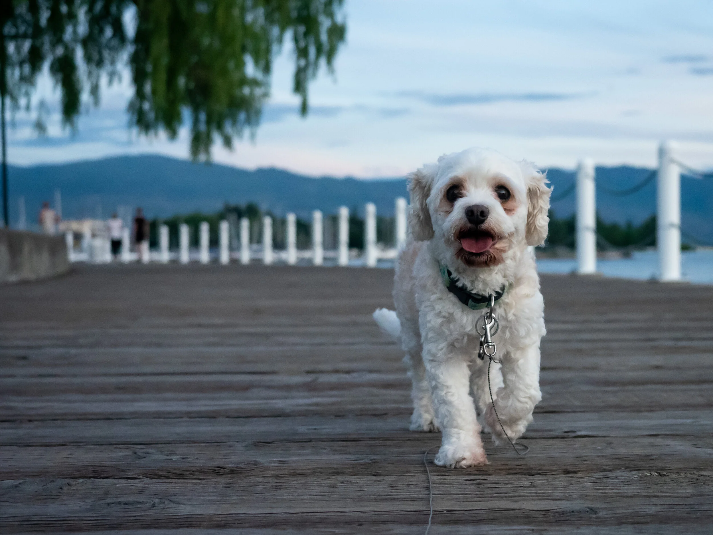 tugboat beach-03.jpg