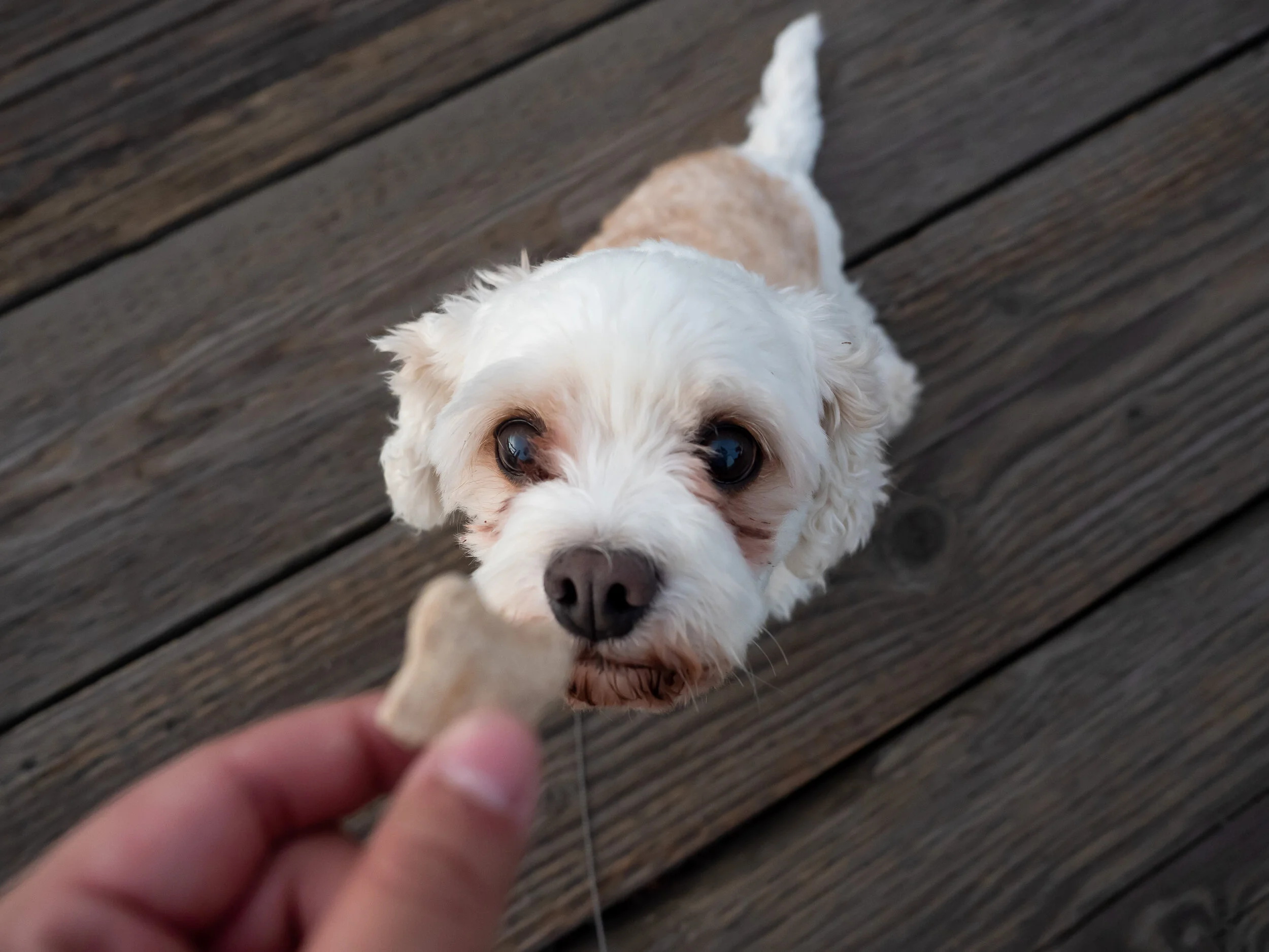 tugboat beach-09.jpg