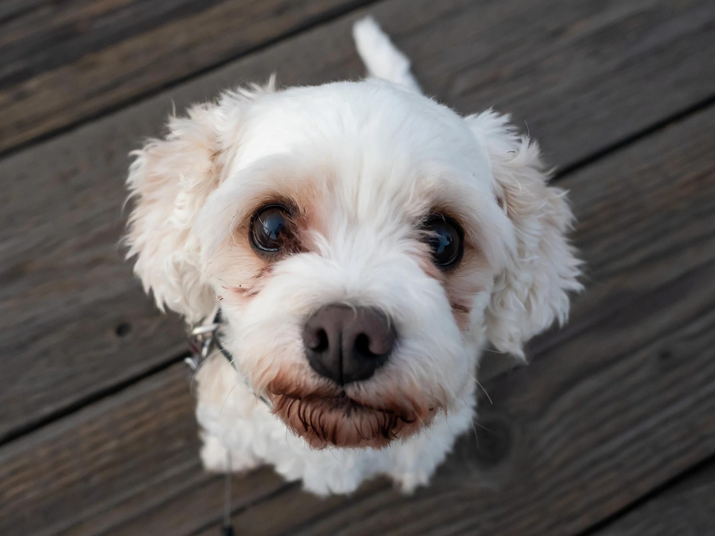 tugboat beach-11.jpg