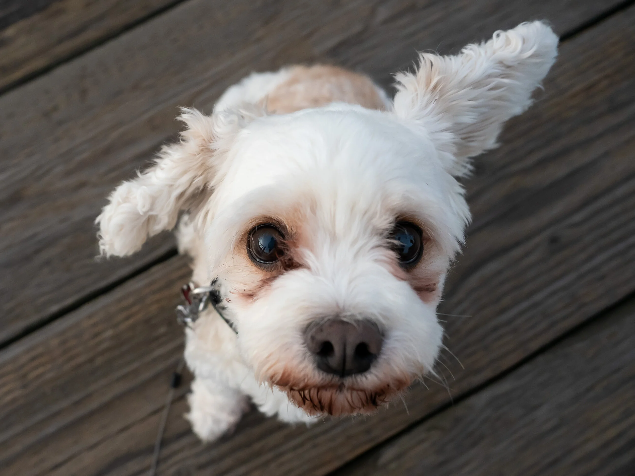 tugboat beach-13.jpg