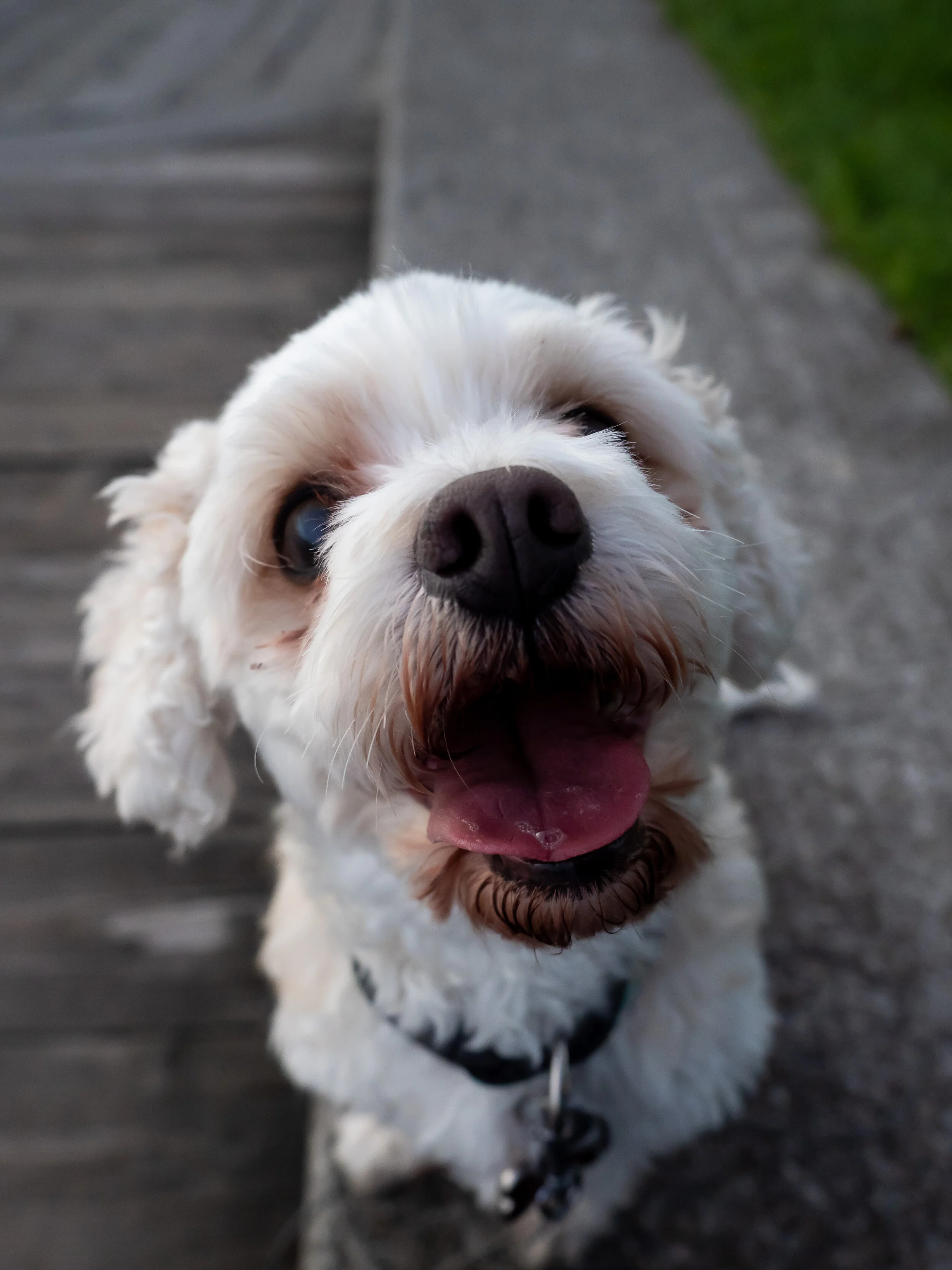 tugboat beach-07.jpg