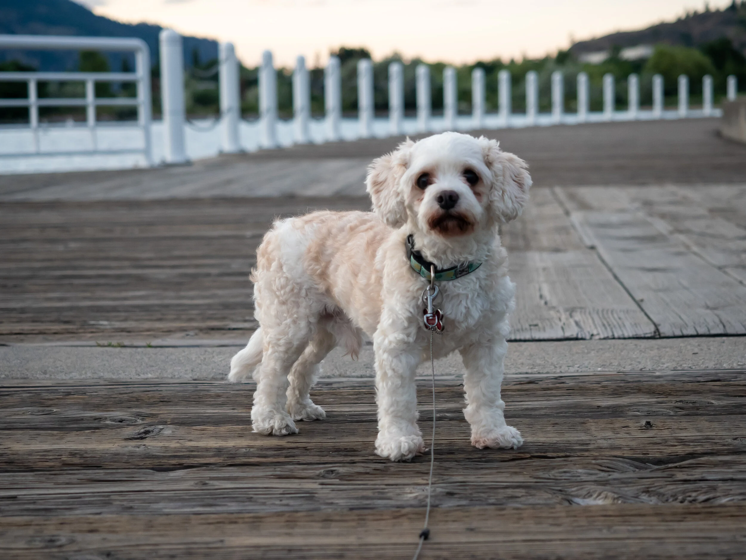 tugboat beach-08.jpg