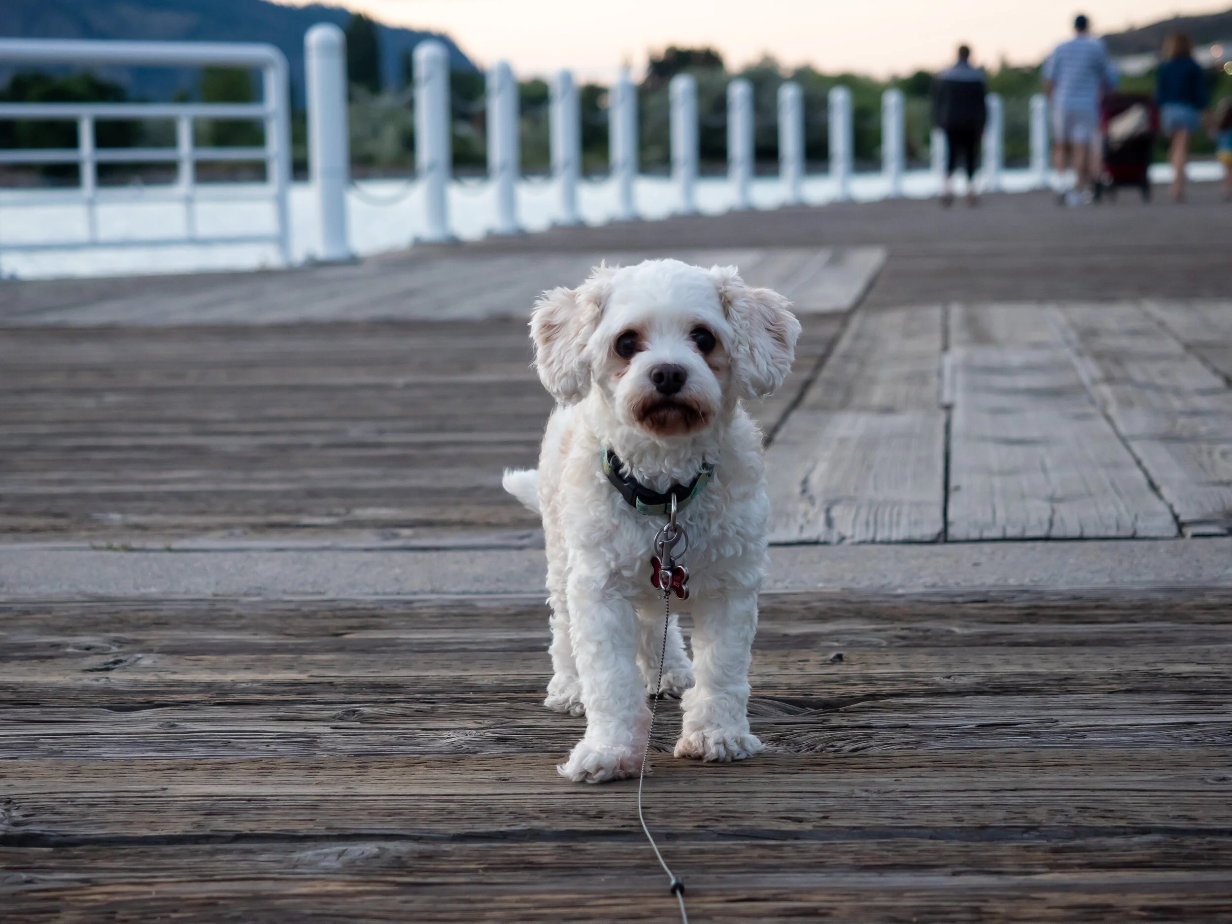 tugboat beach-05.jpg