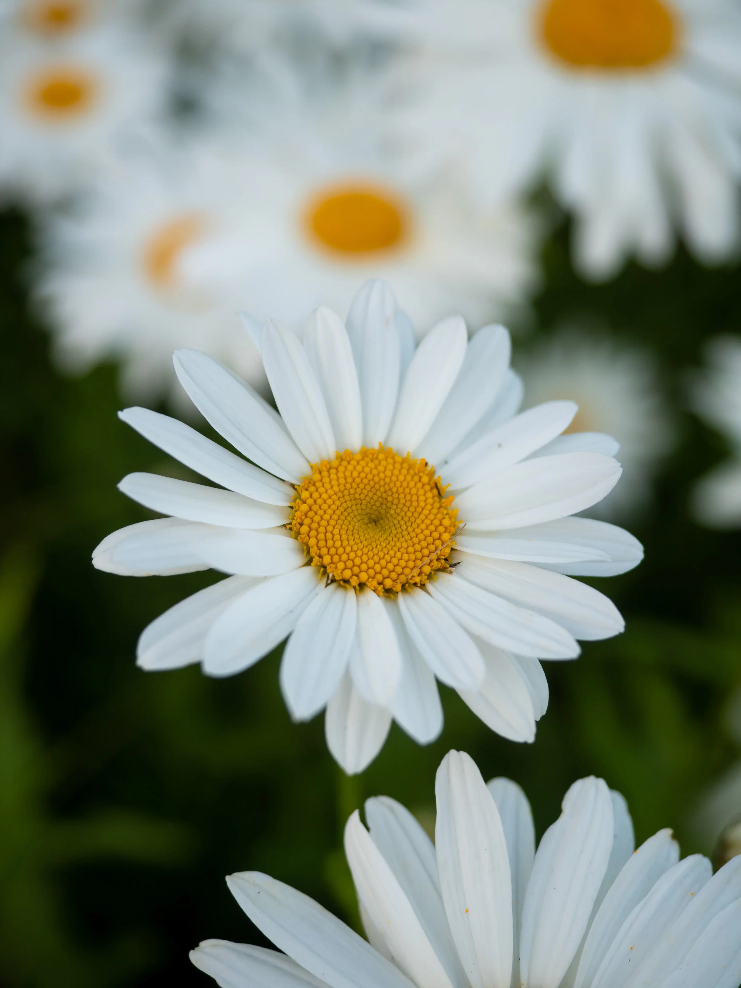 tugboat beach-12.jpg