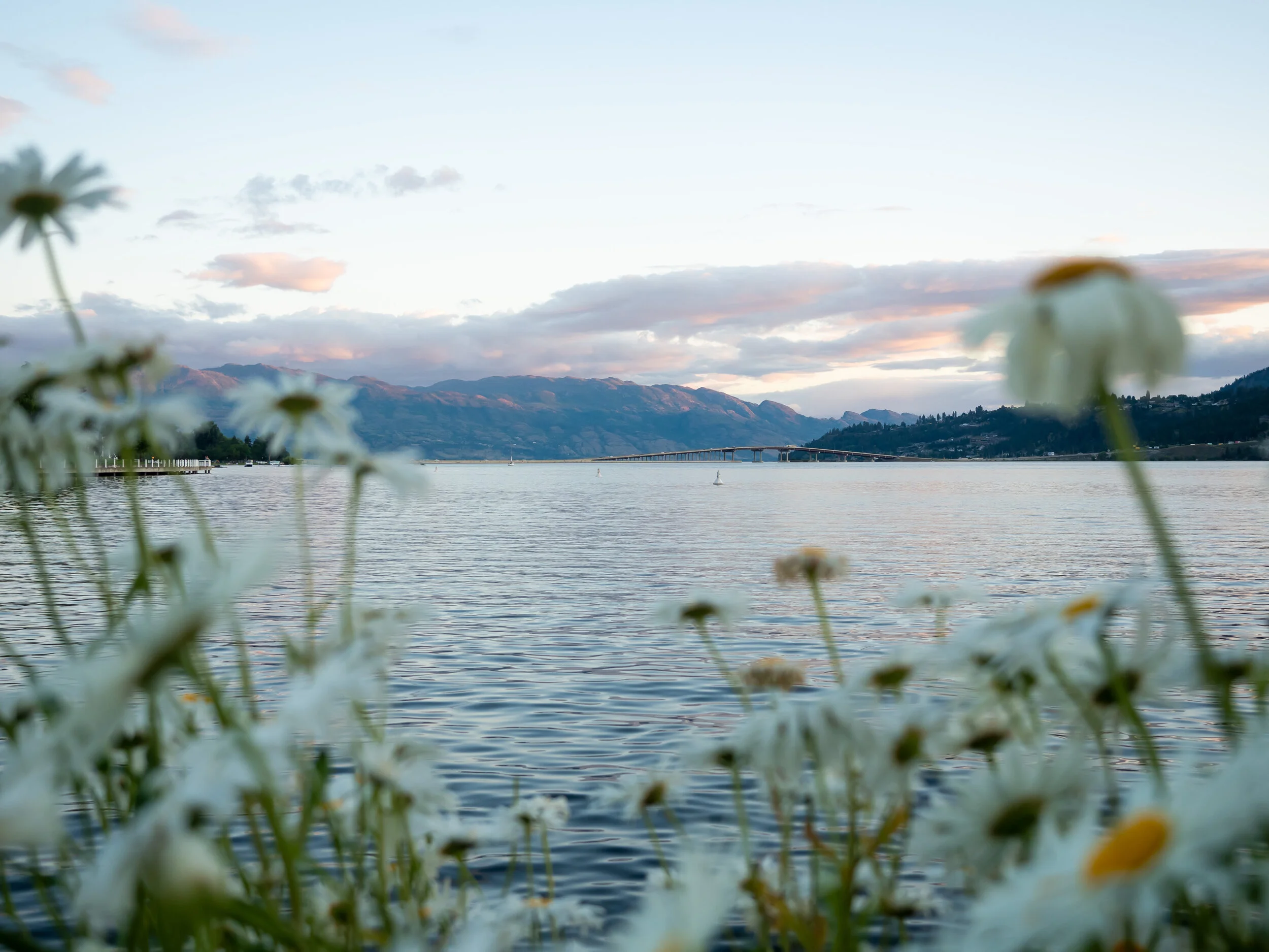 tugboat beach-08-2.jpg