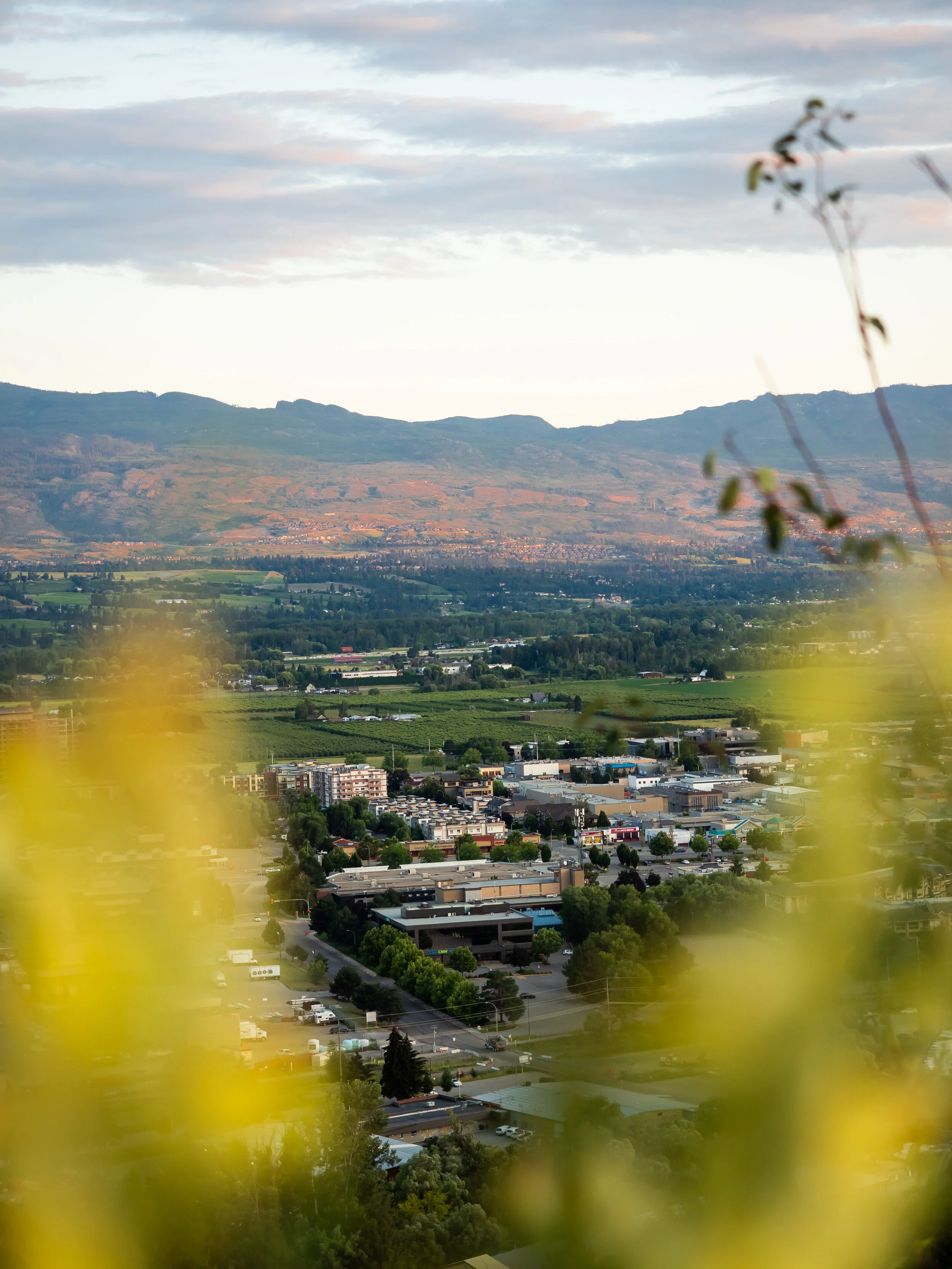 dilworth mountain park-18.jpg