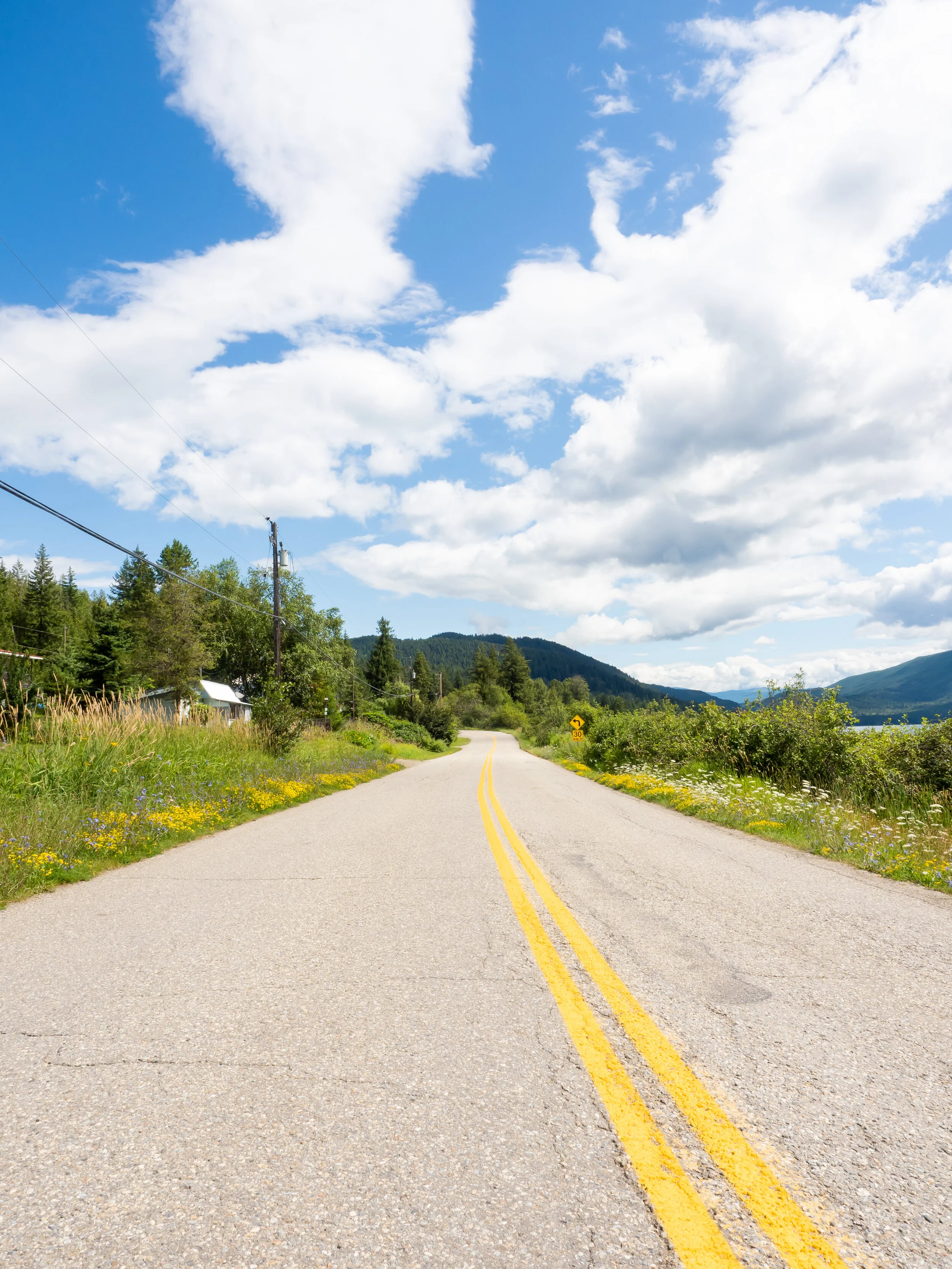 Drawing your eye to the other end of the road with the wildflowers lining the side.