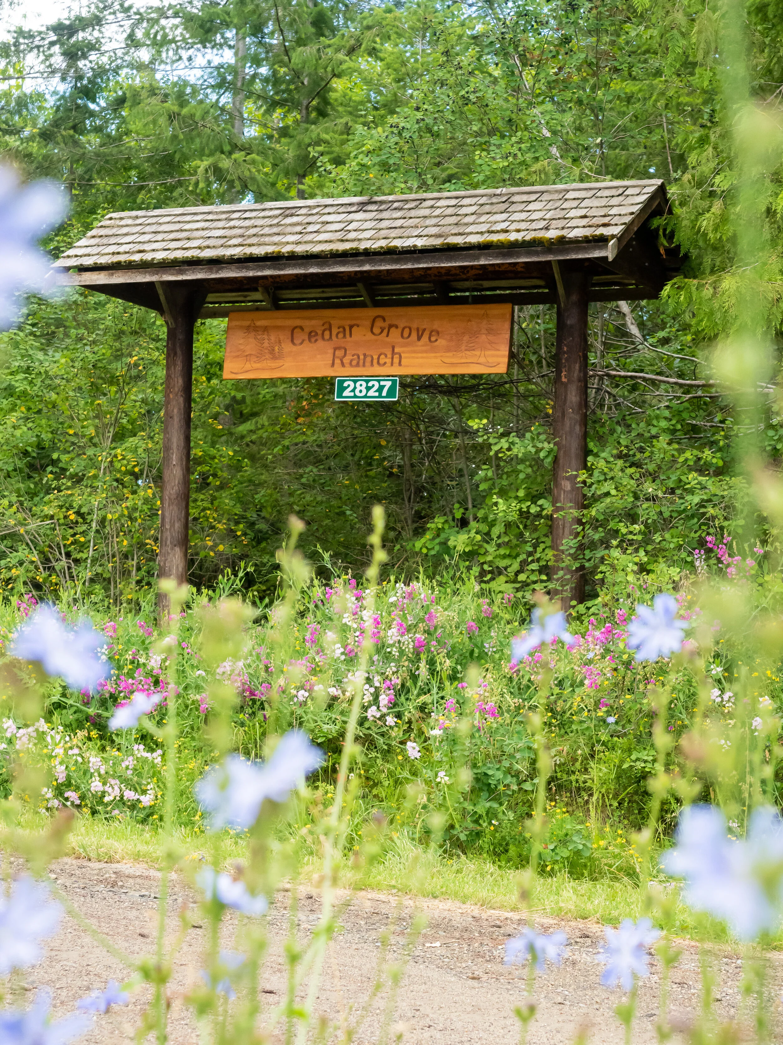 Shot through a bed of flowers with the sign as the focus point.