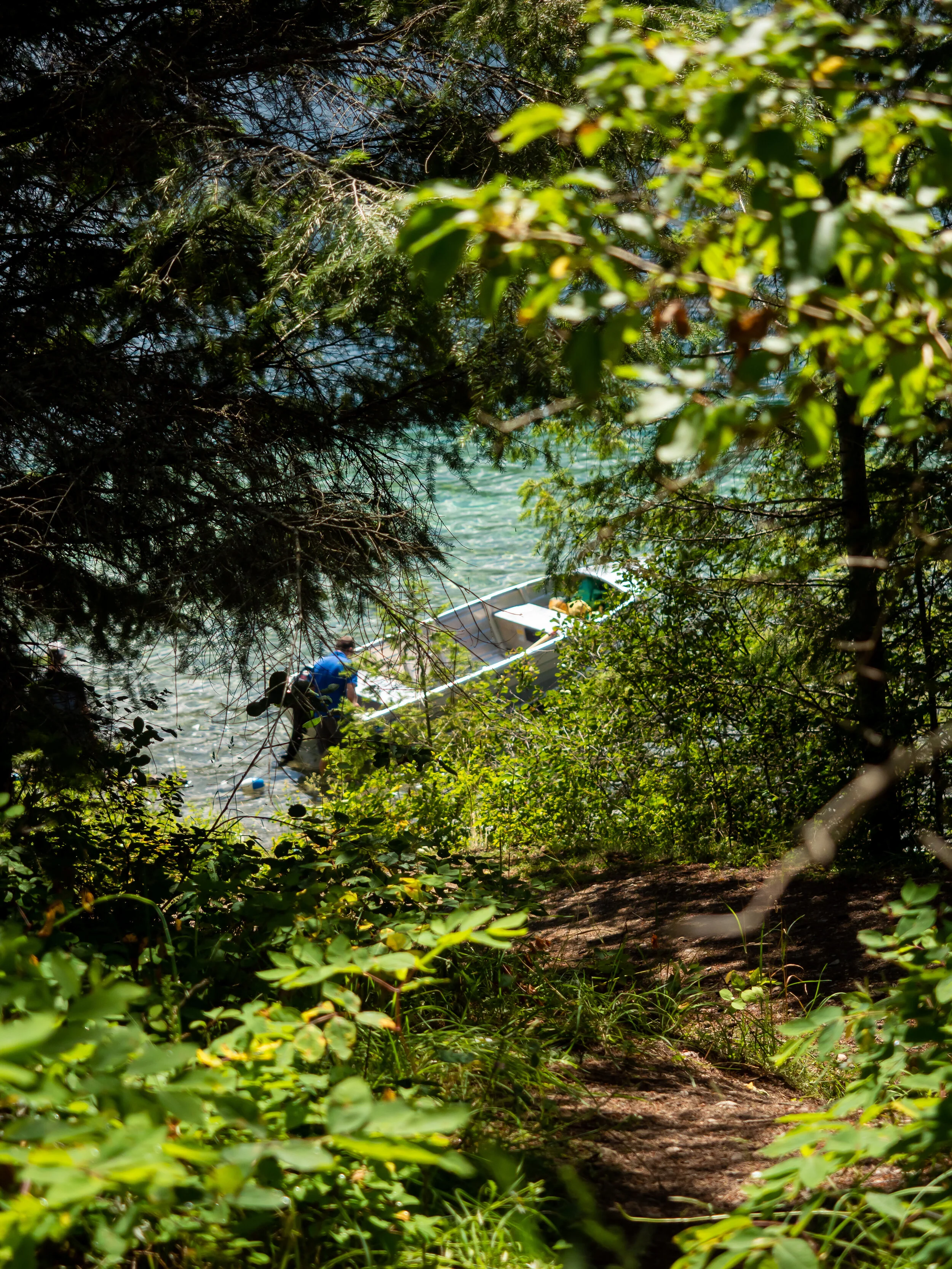 Shot through some plants and trees with the boat as the focus point.