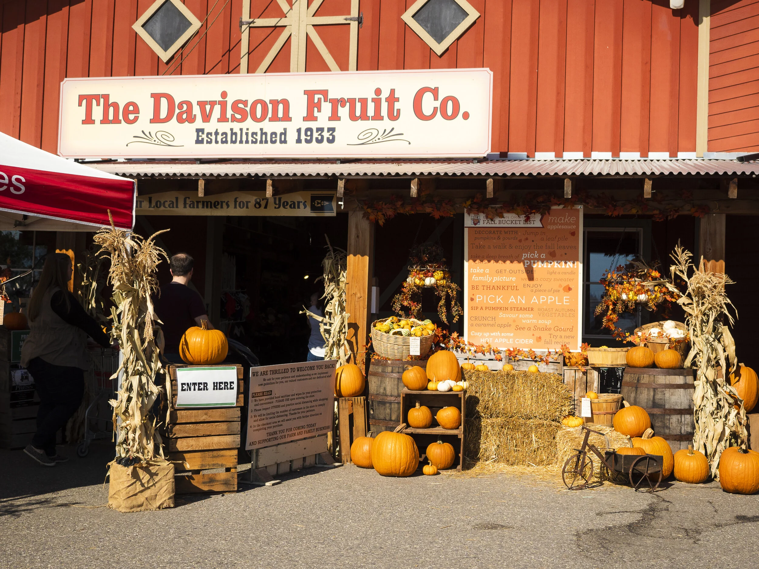 davison-orchard-web-1.jpg