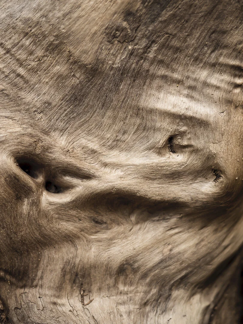 On the other end of the log you it had this marble like pattern that was a detail I loved!