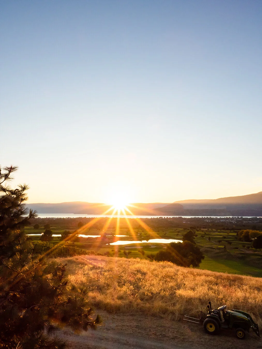 harvest golf club-2.jpg