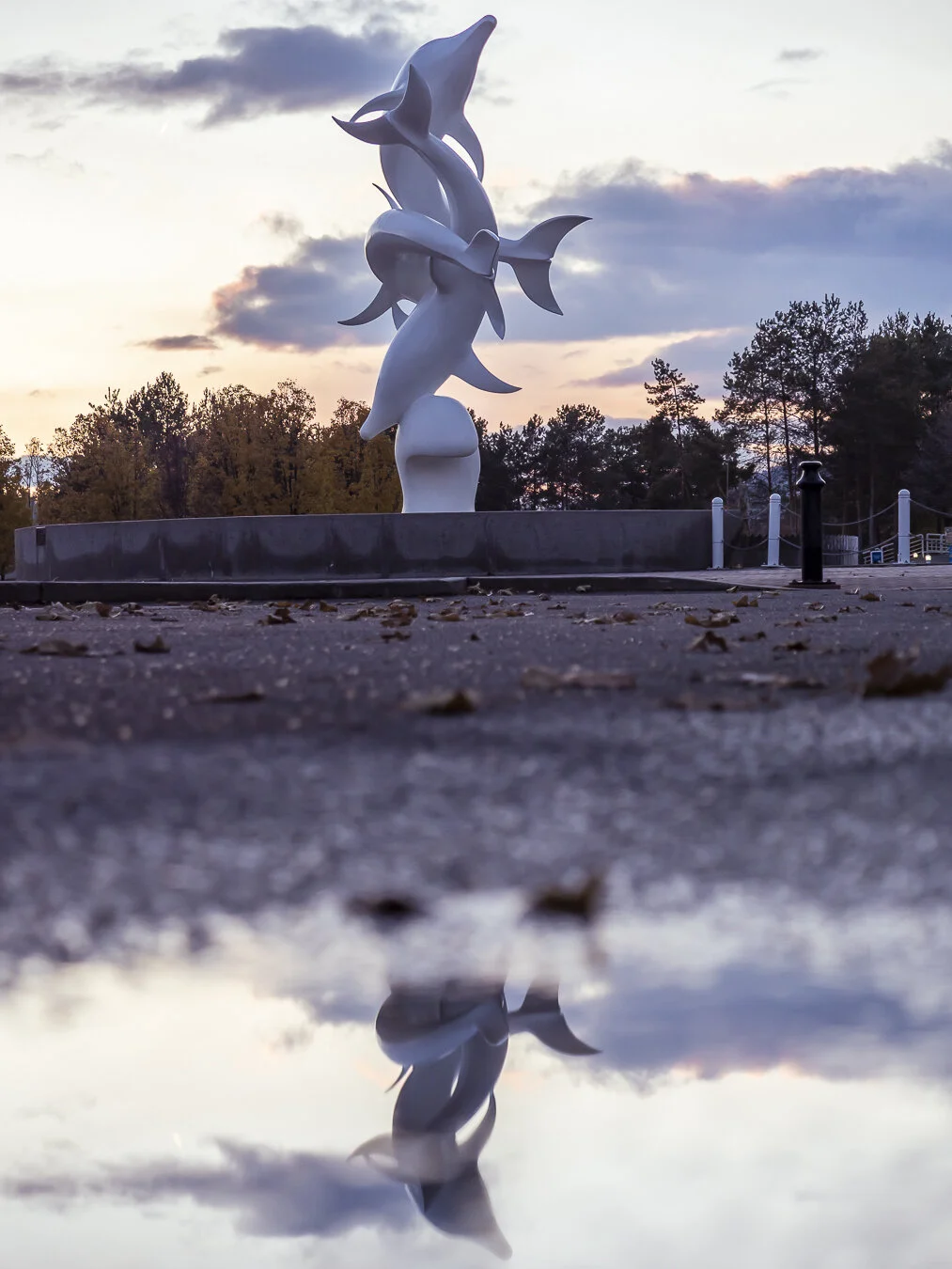 In this photo I created a reflection of the Dolphin Statue at Rhapsody Plaza in Kelowna by using a puddle that was in the middle of the parking lot!ISO 250 | f/2.8 | 1/400