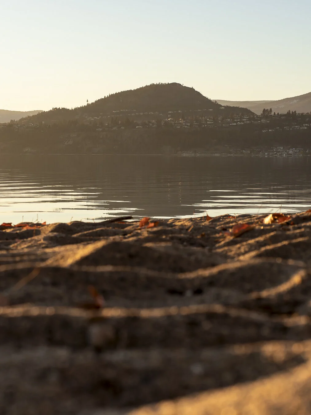 In this photo I fell in love with the light, shadows, and lines of the golden sand at the beach so I decided to get my camera really low to capture the golden peaks!ISO 64 | f/8 | 1/50