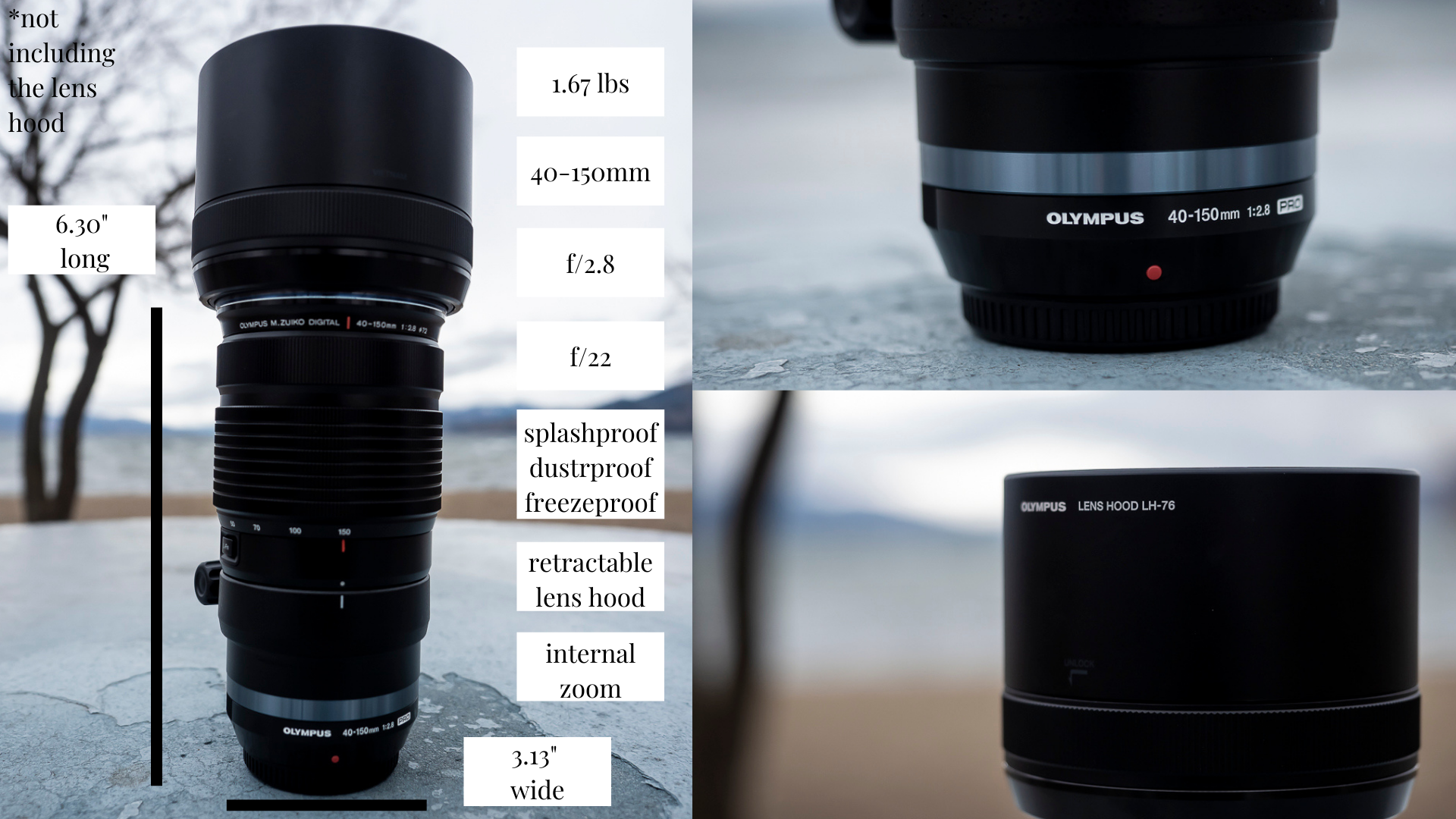 YOUTUBE GRAPHICS (18).png